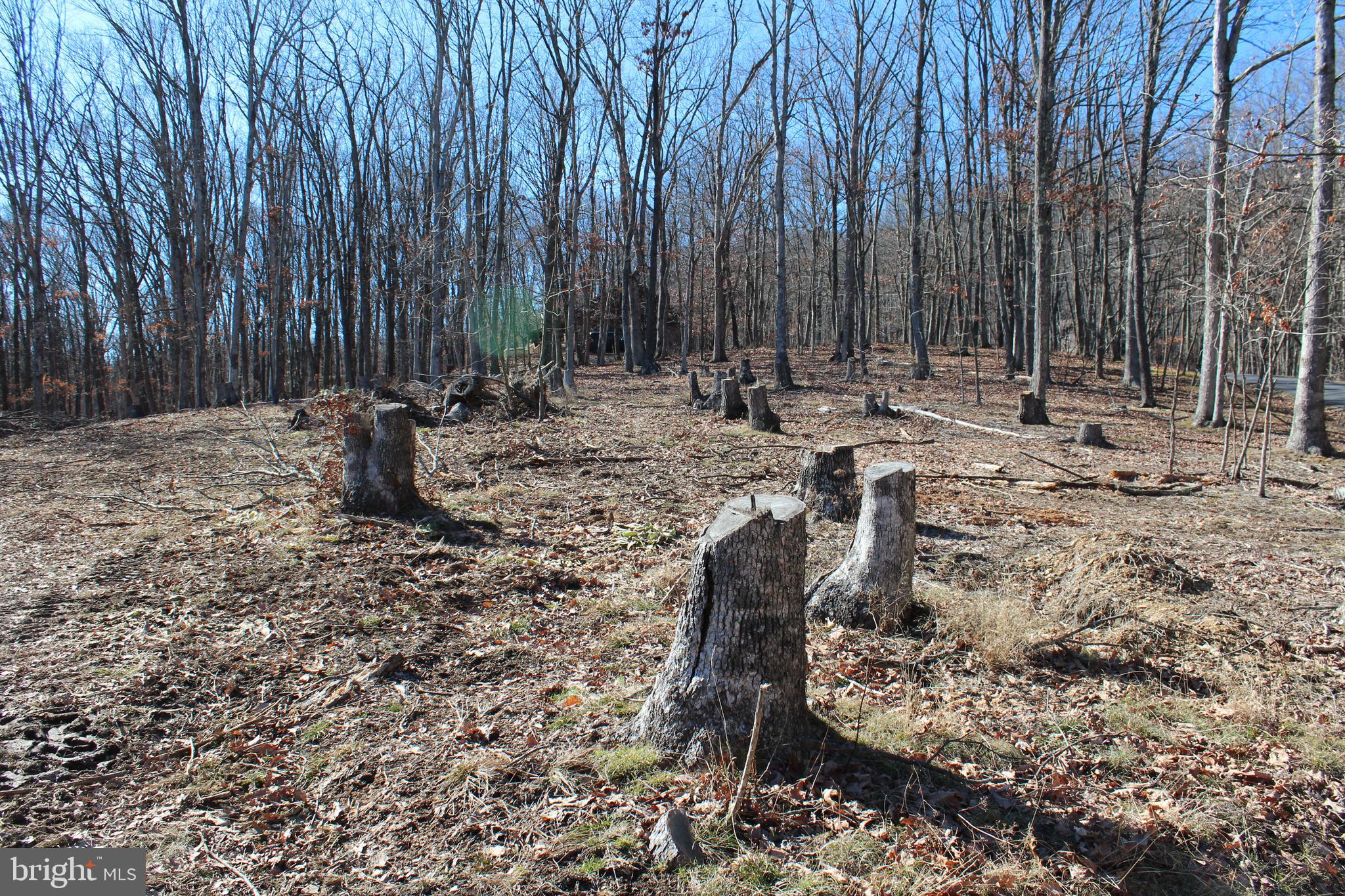 TIMBERLAKE ESTATES - Land