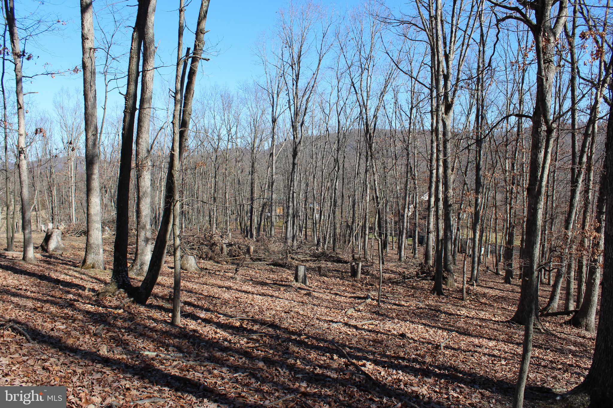 TIMBERLAKE ESTATES - Land