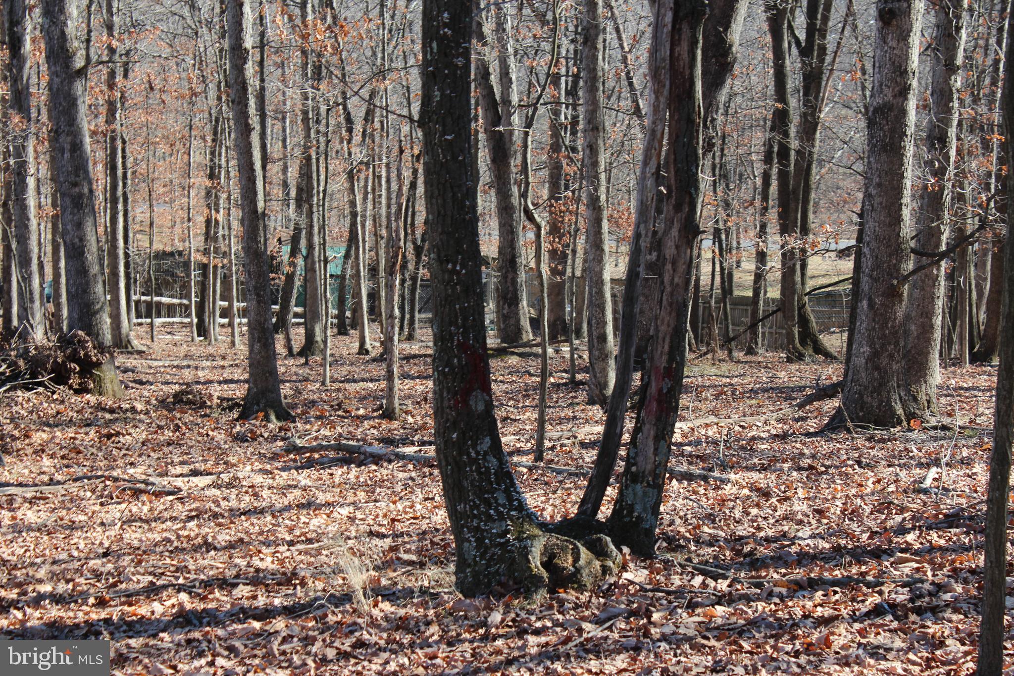 TIMBERLAKE ESTATES - Land