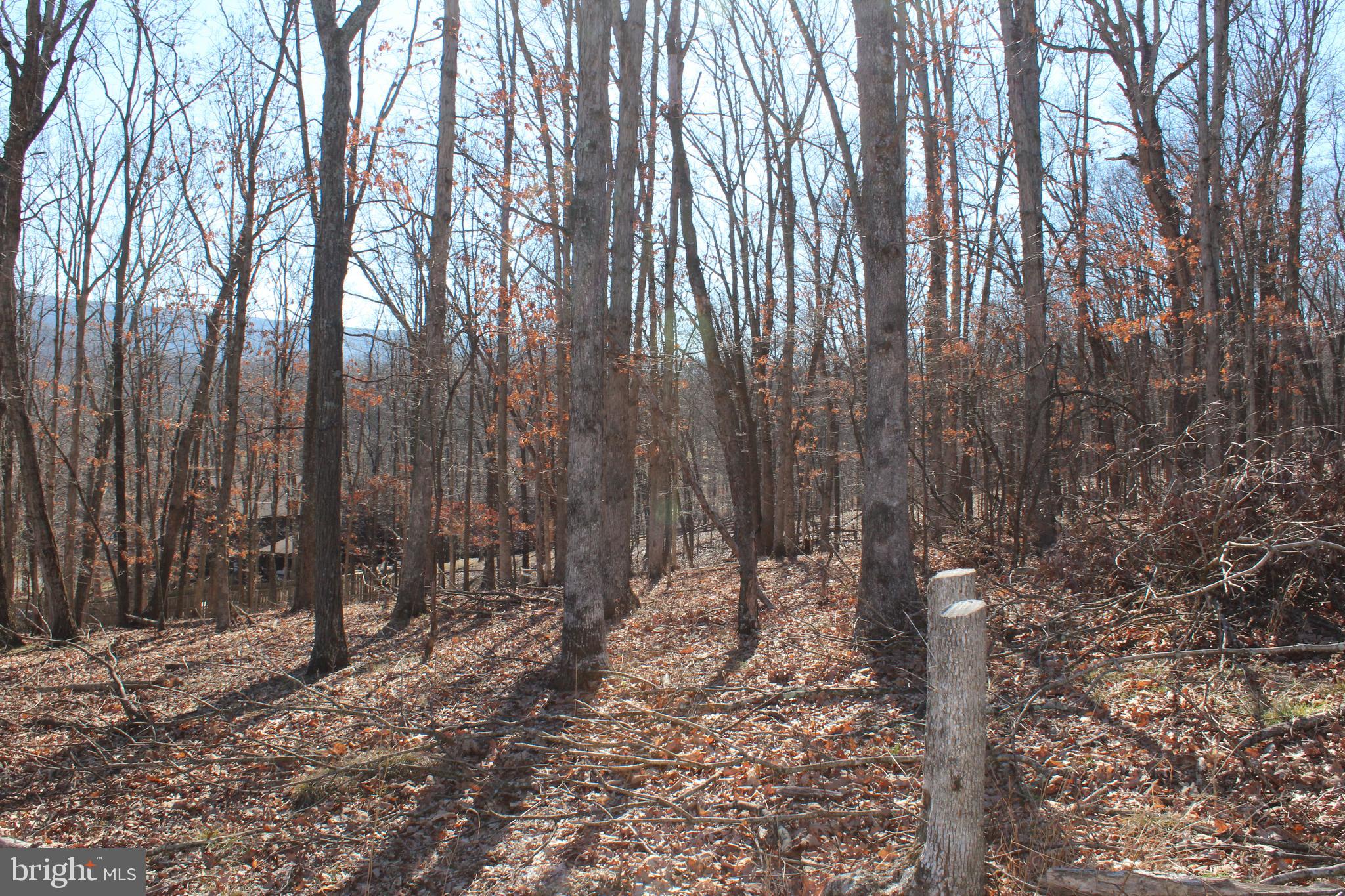 TIMBERLAKE ESTATES - Land