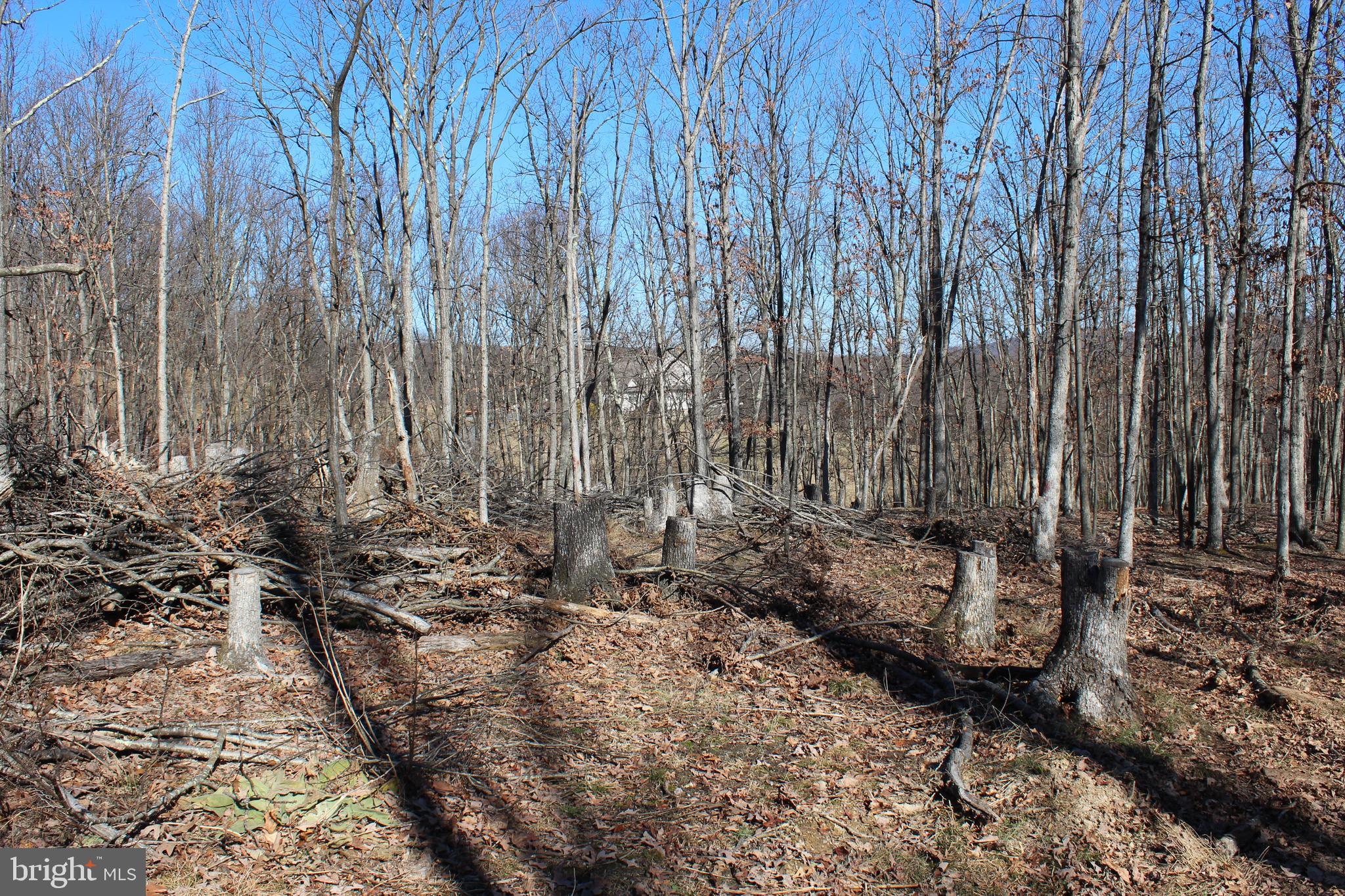 TIMBERLAKE ESTATES - Land