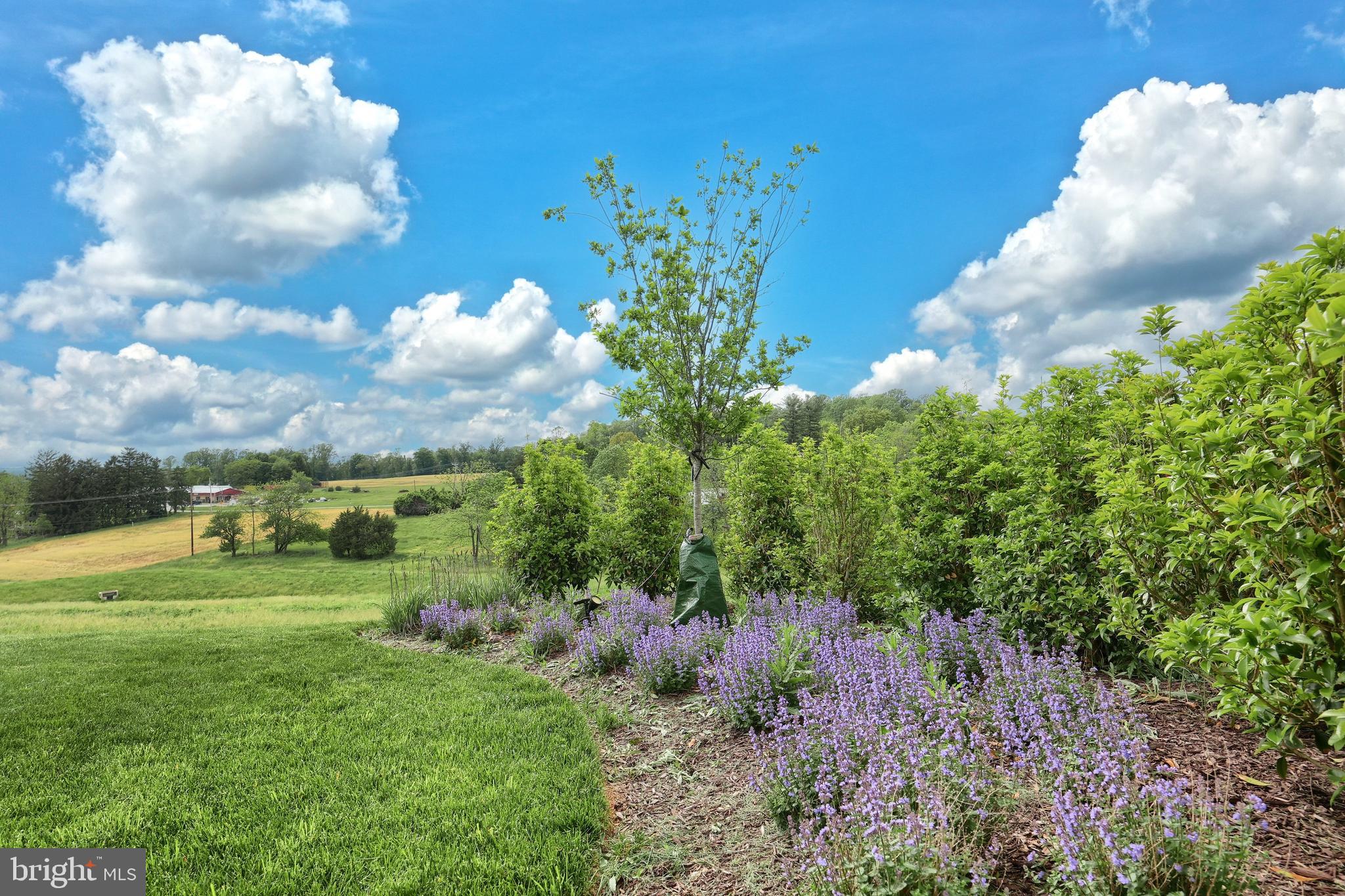 FOX CHAPEL CROSSING - Residential