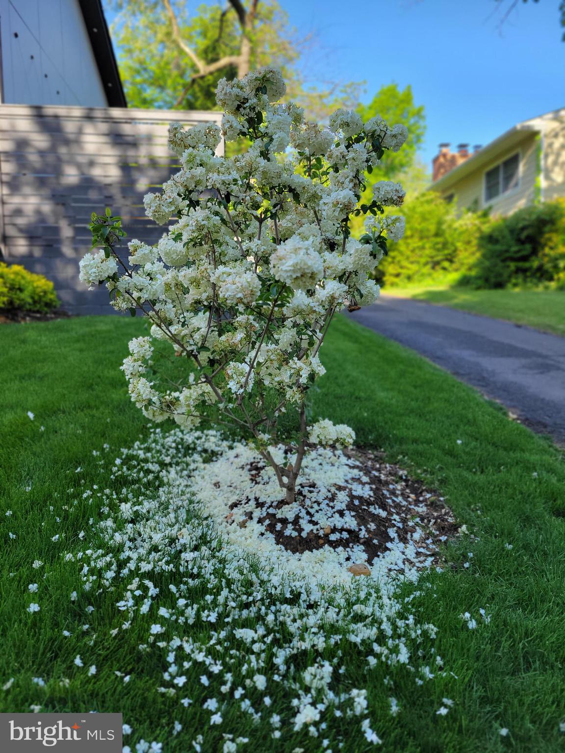 CHERRYDALE - Residential