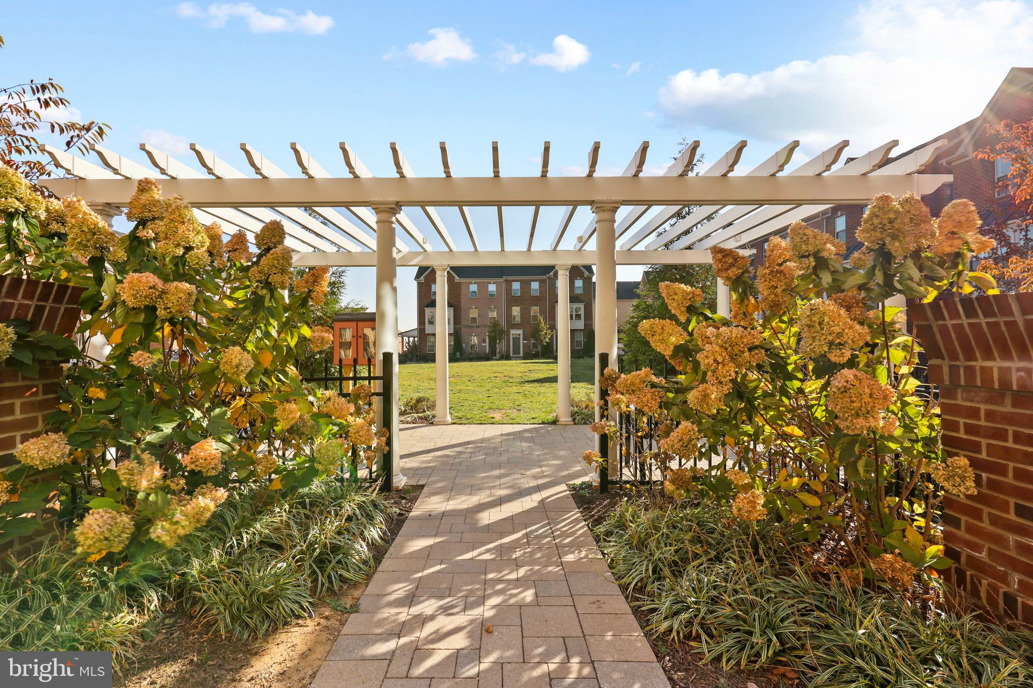 O'DONNELL SQUARE - Residential