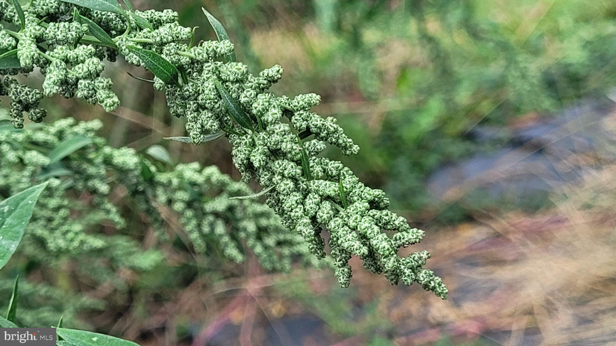 MANCHESTER ELECTION DISTRICT - Residential