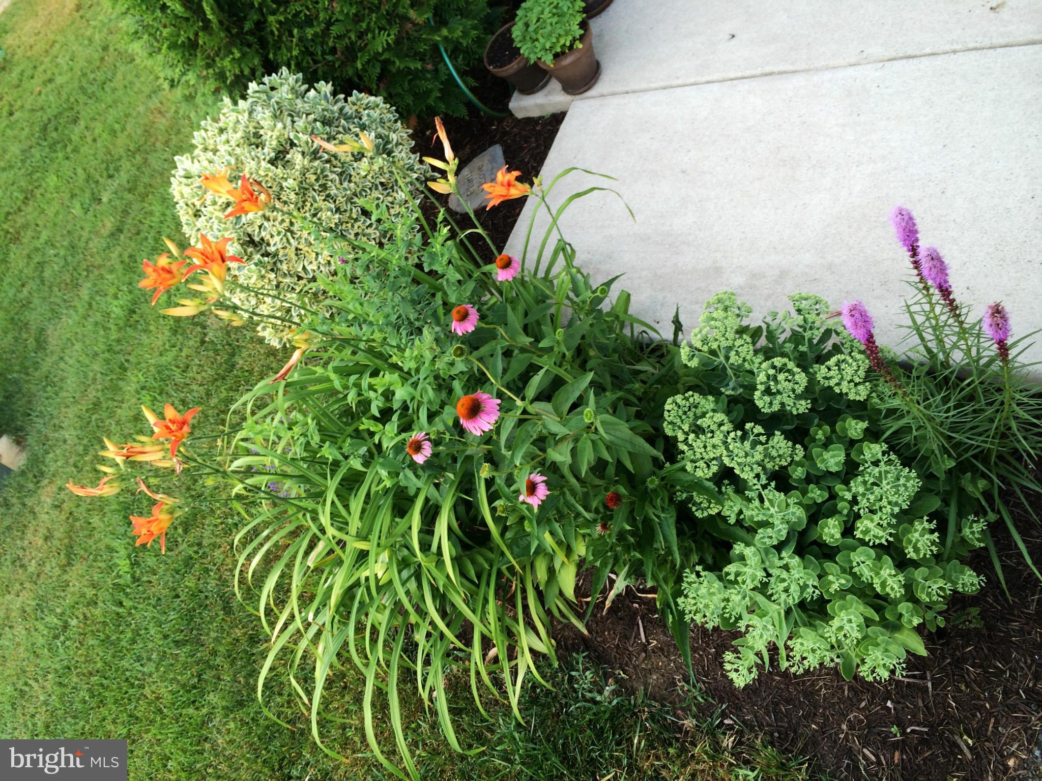 STONEBROOK VILLAGE - Residential