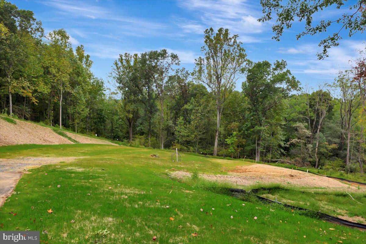 Lot 2 SNOWDENS RUN ROAD