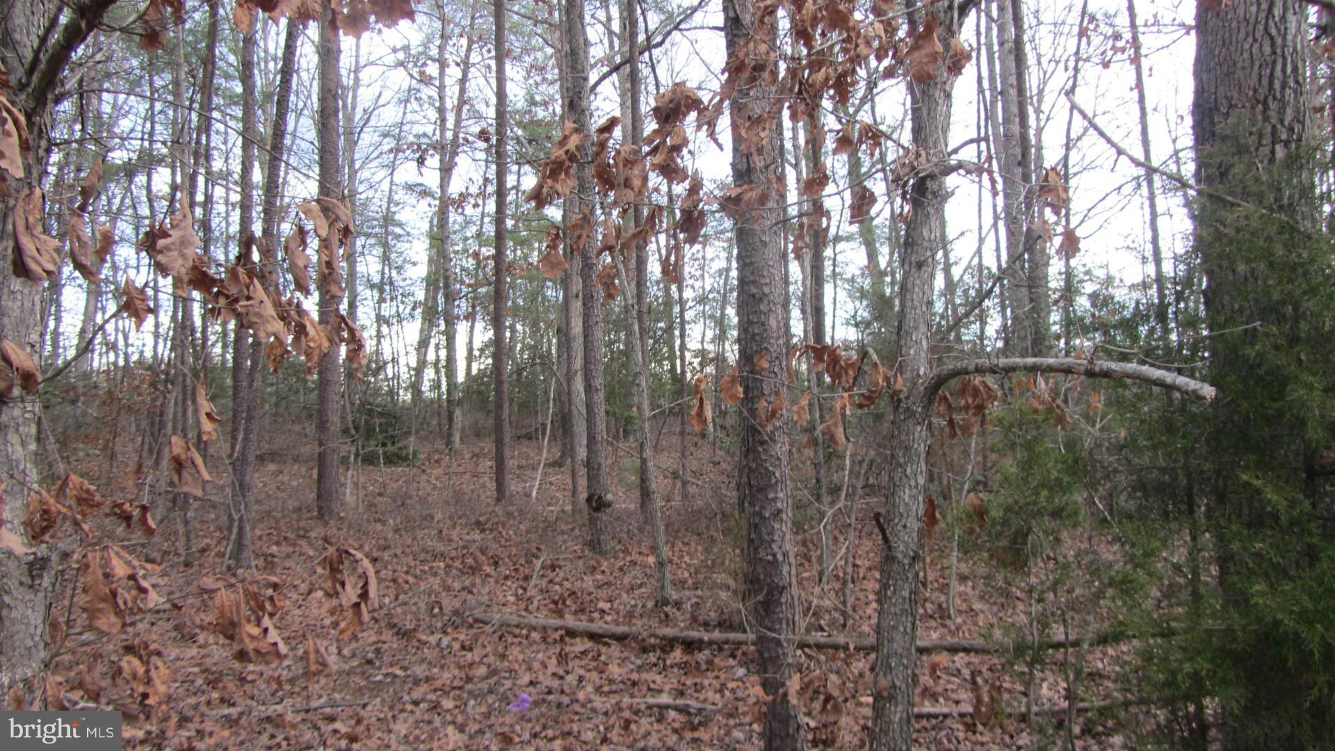 LAKE OF THE WOODS - Land