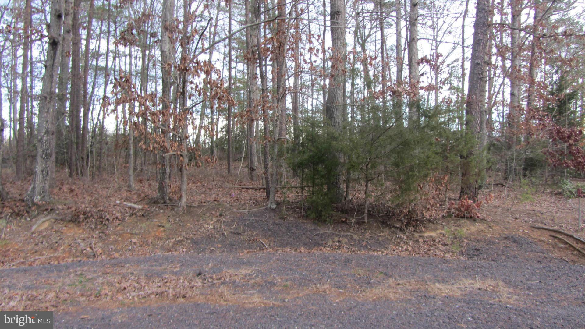 LAKE OF THE WOODS - Land