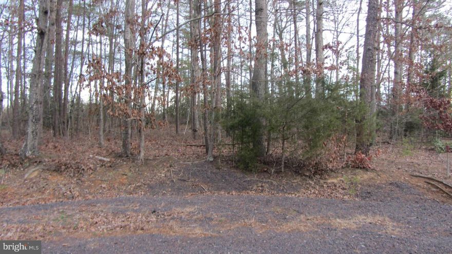 Beautiful wooded building lot. Perfect for your new home with a fabulous cul-de-sac location!!! Enjoy all the amazing amenities that Lake of the Woods has to offer including lakes, pools, sandy beaches, golf course, club house, riding stables, fitness center and community center.