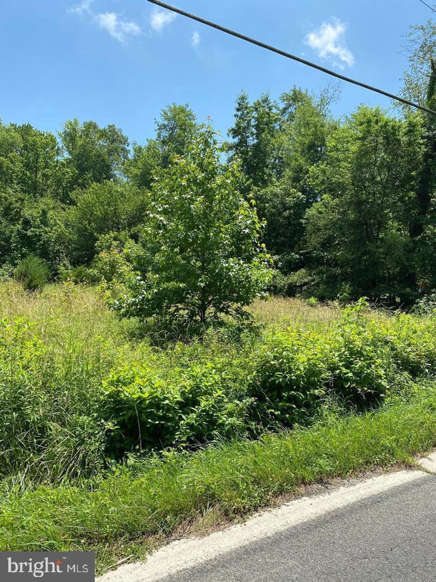 Build your Dream Home today on this beautiful Level Lot. Excellent location for commuting into  Town. You will find that it is the best of both worlds in that it is city close and country quiet. Only a short drive to shopping, restaurants and entertainment in both Waldorf and National Harbor.