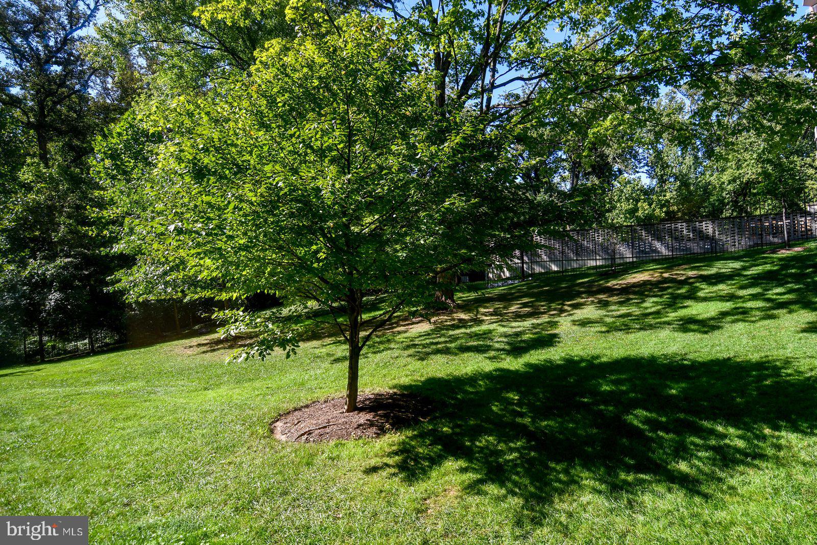 4101 CATHEDRAL AVENUE NW 107