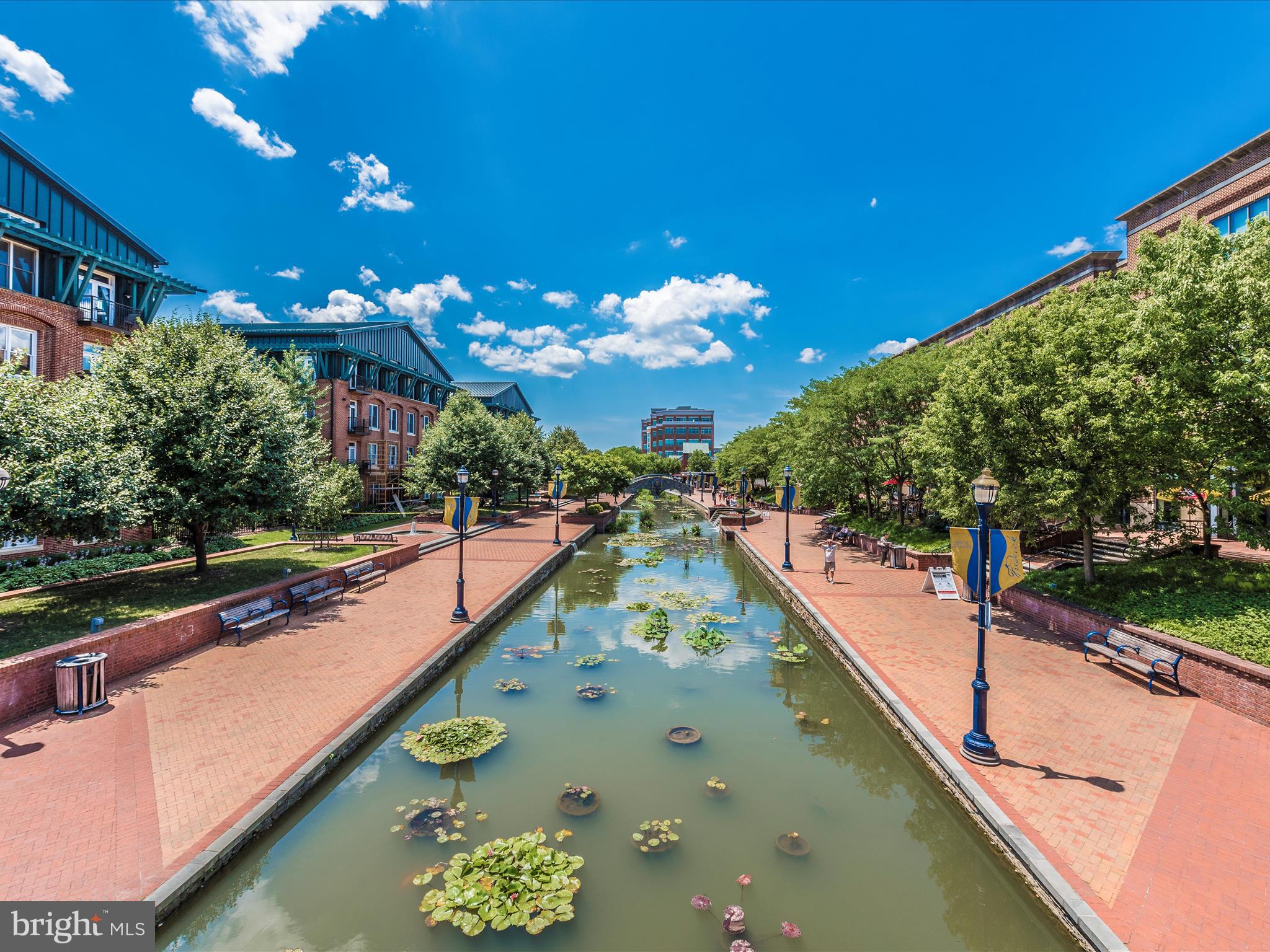 MAXWELL PLACE - Residential