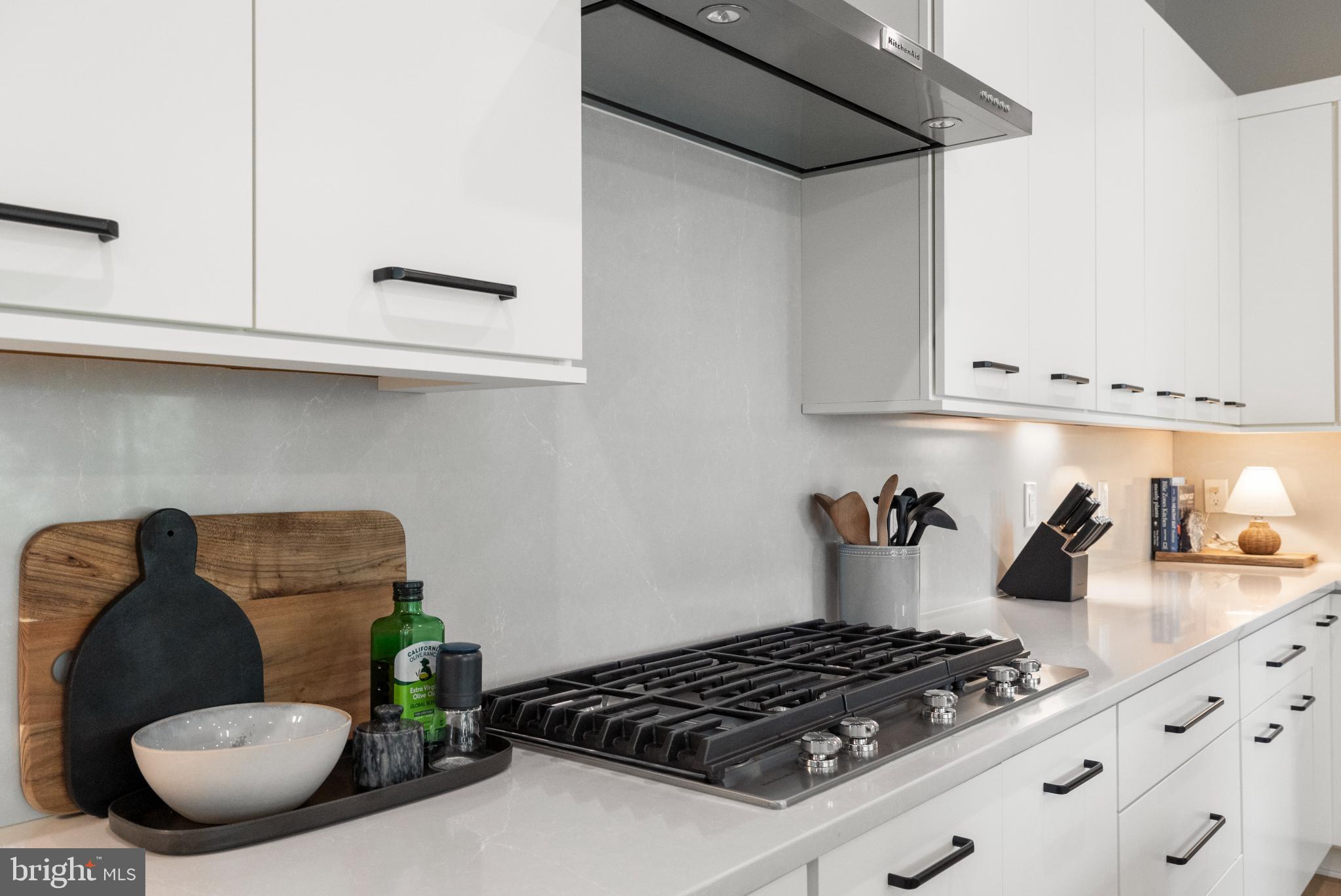 METRO WALK AT MOOREFIELD STATION - Residential