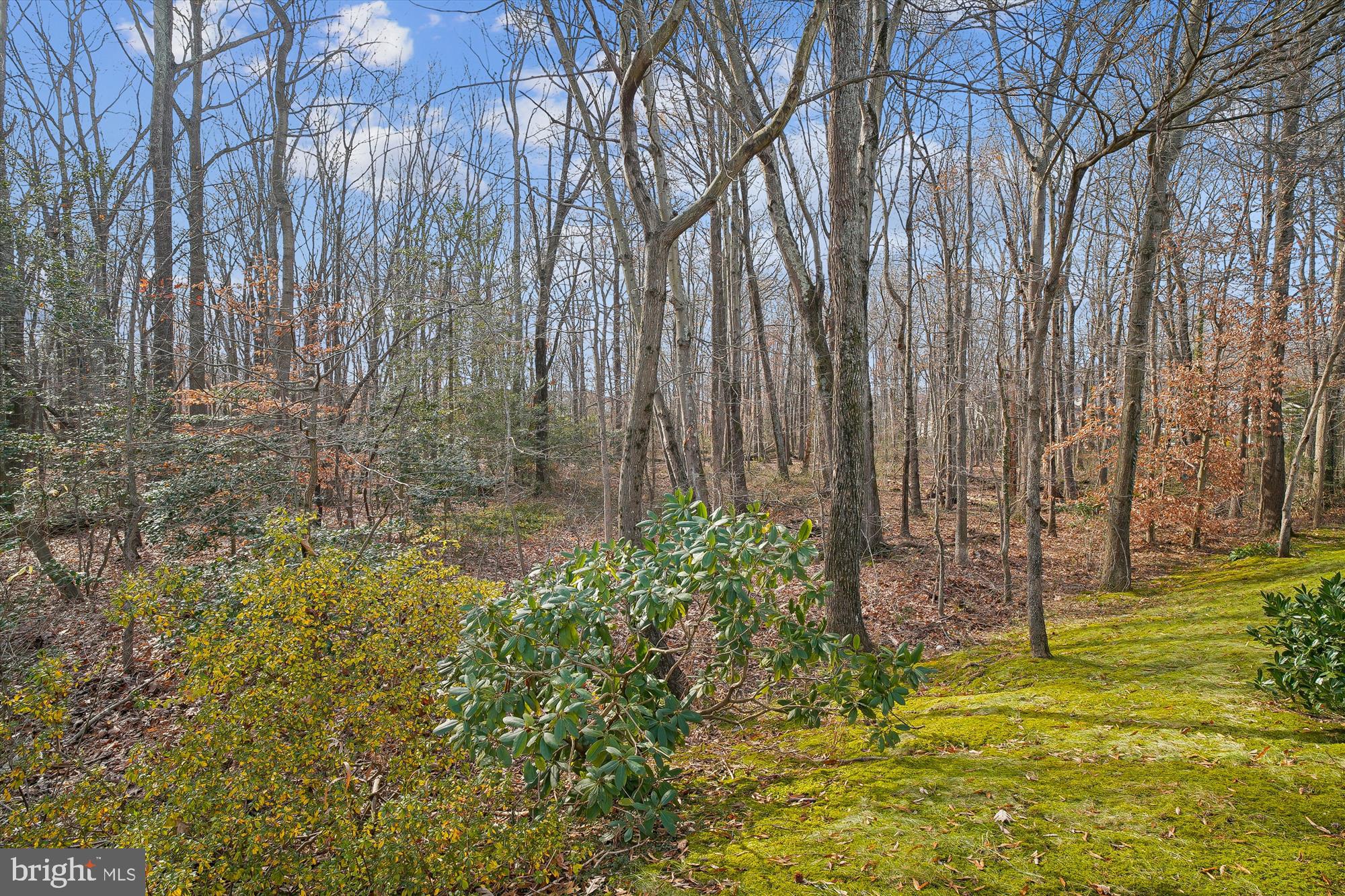 SOUTH RIVER COLONY - Residential