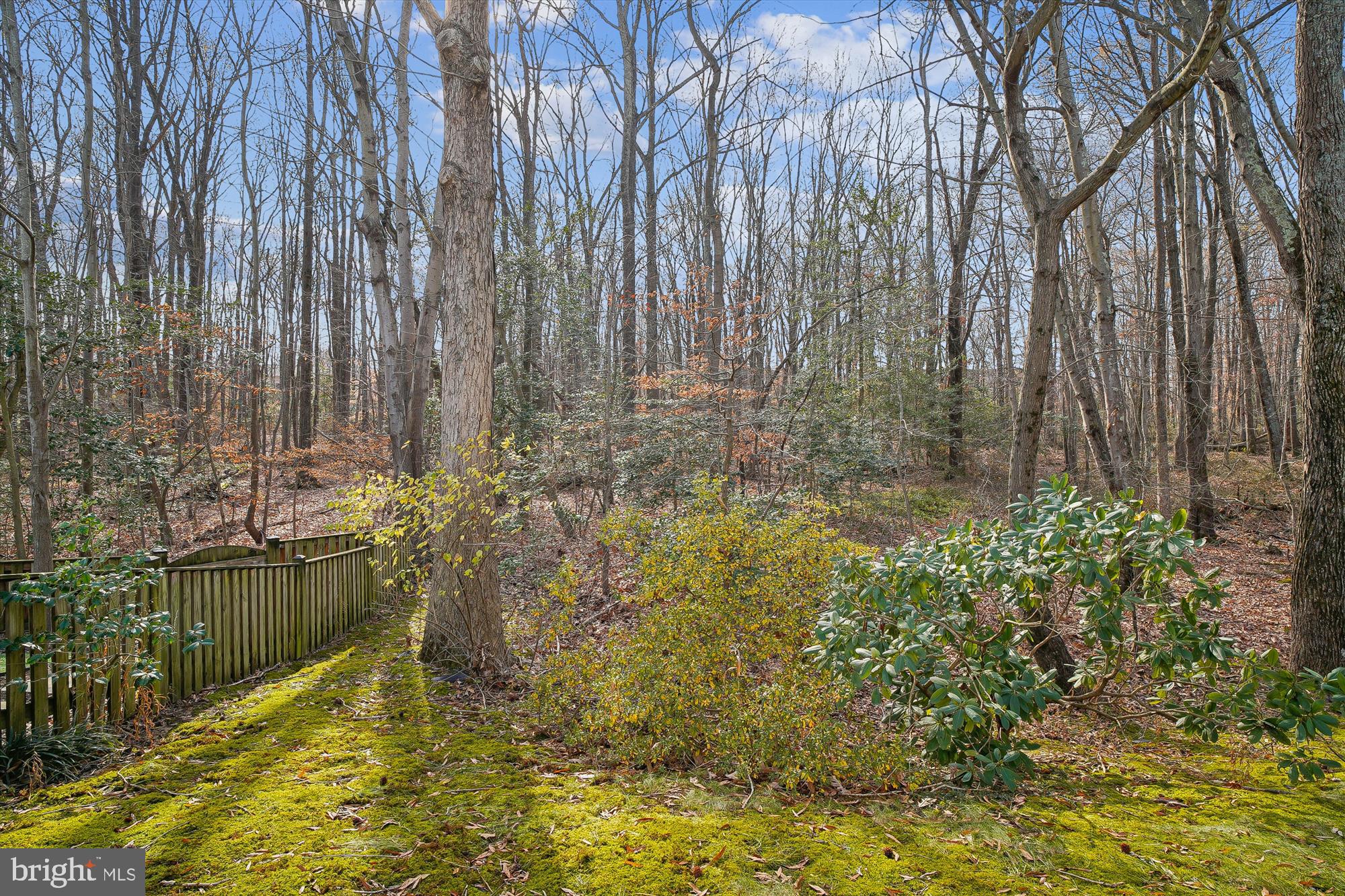 SOUTH RIVER COLONY - Residential