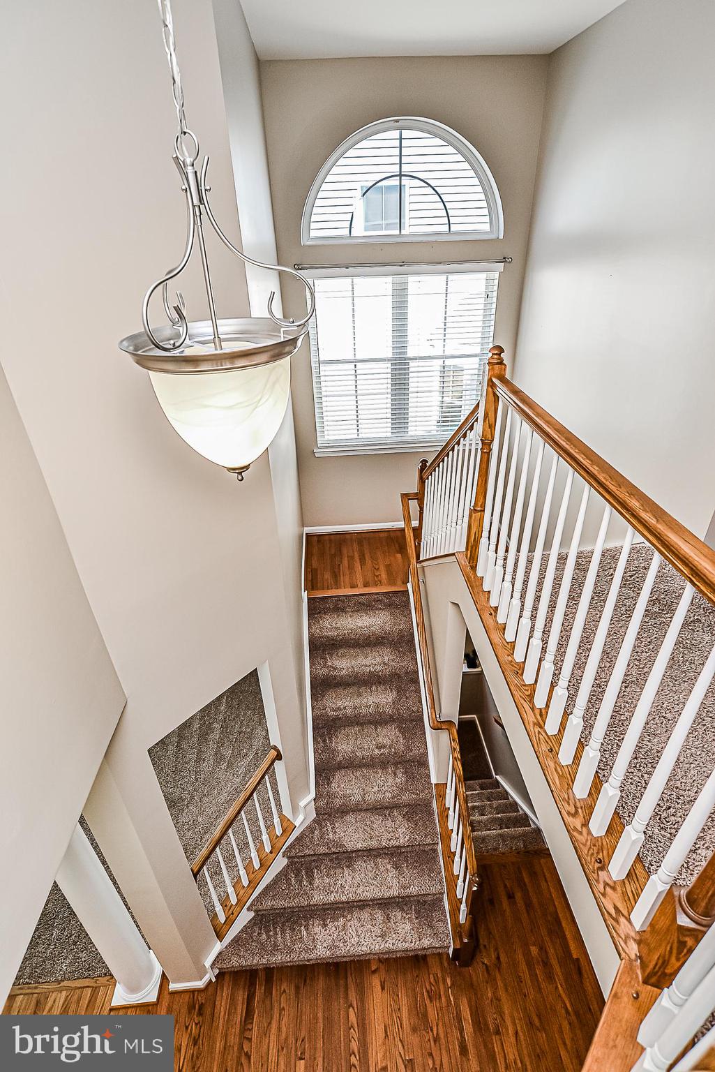 SEVEN HILLS - Residential