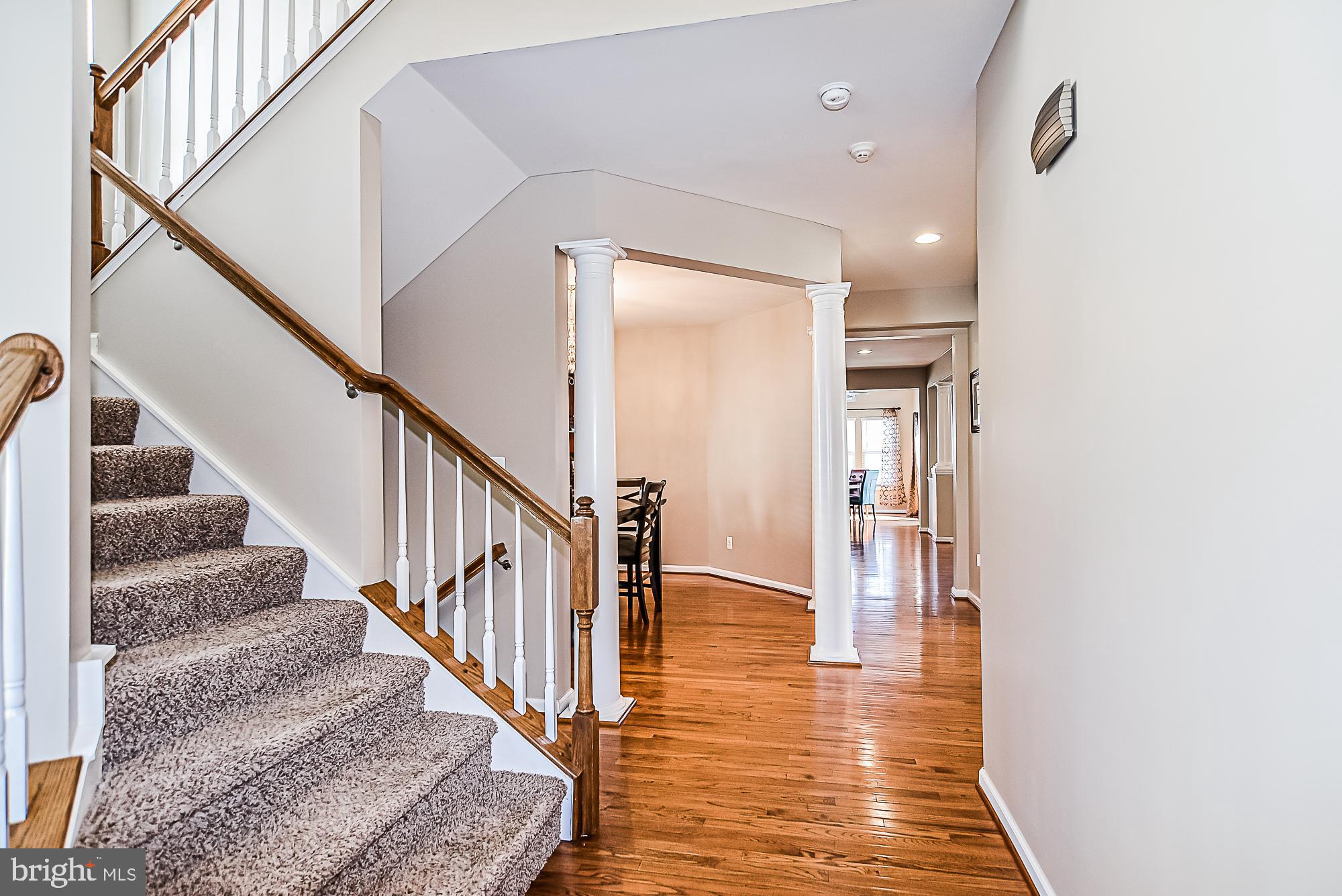 SEVEN HILLS - Residential