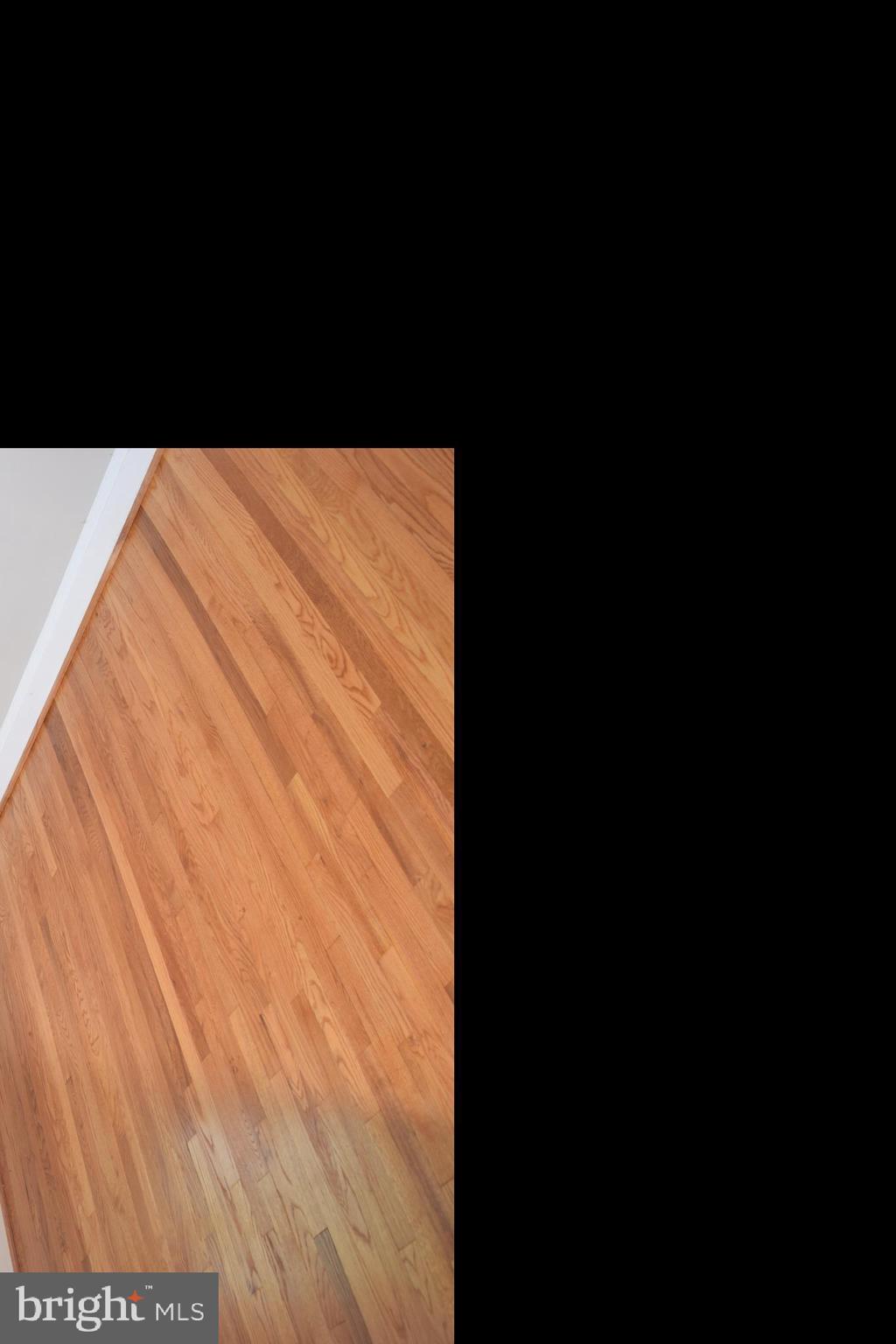 LOCH RAVEN VILLAGE - Residential