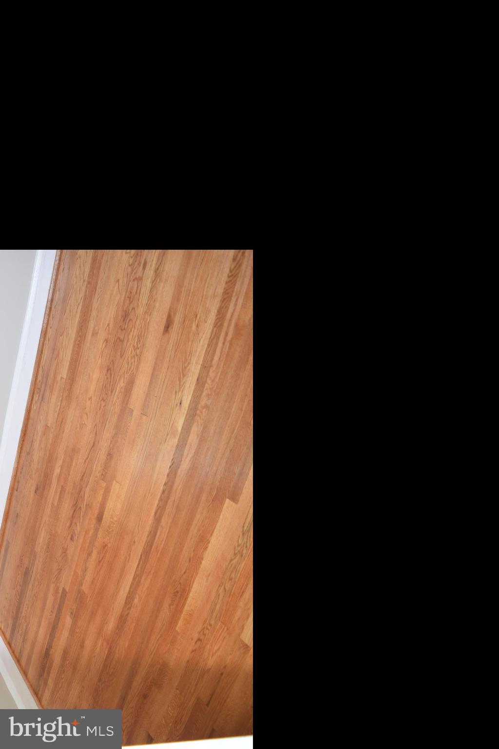 LOCH RAVEN VILLAGE - Residential