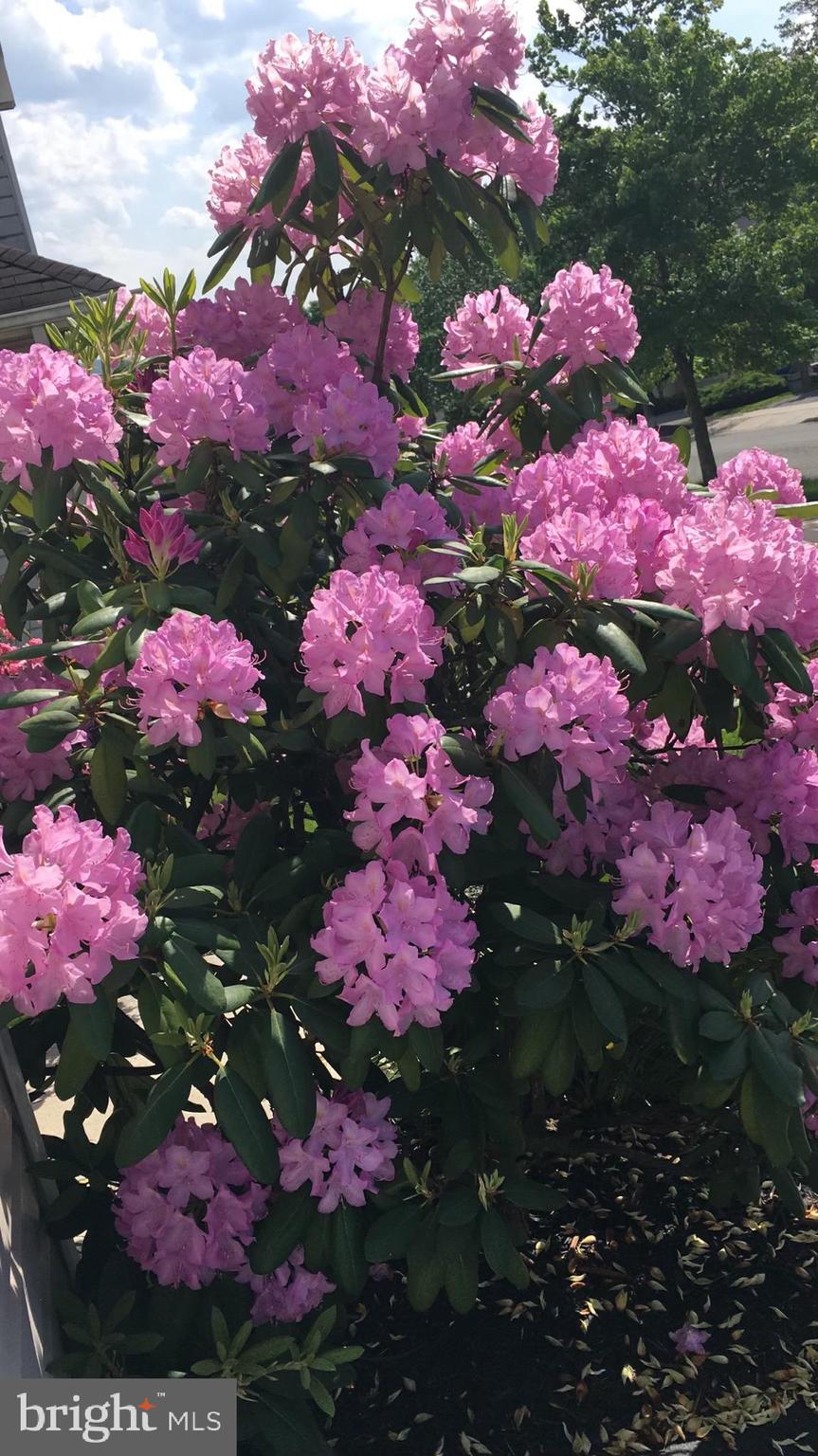 POTTSTOWN - Residential