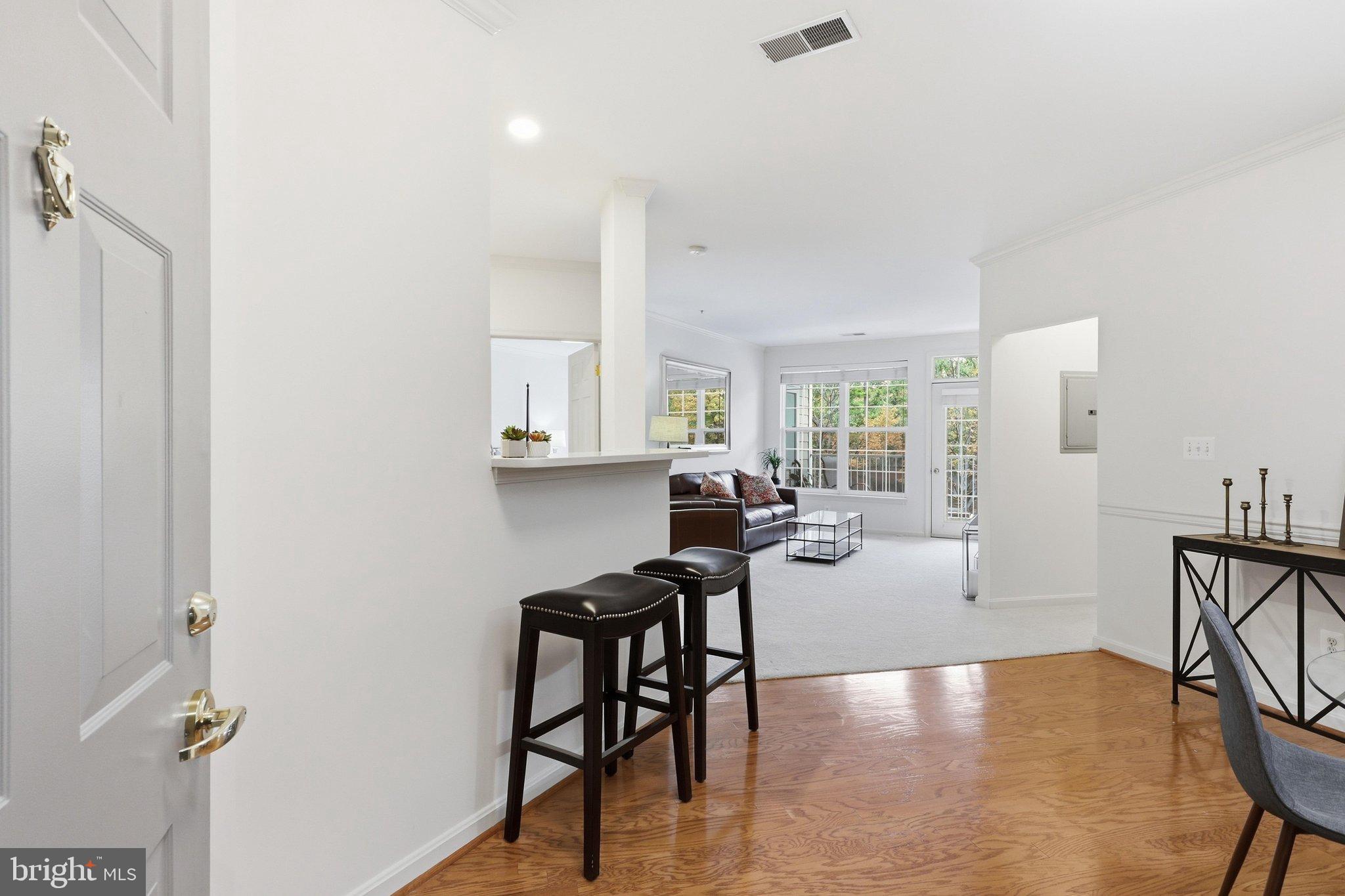 8181 CARNEGIE HALL COURT 203