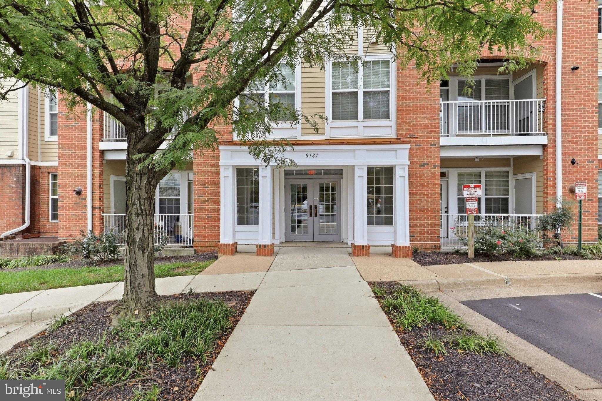 8181 CARNEGIE HALL COURT 203