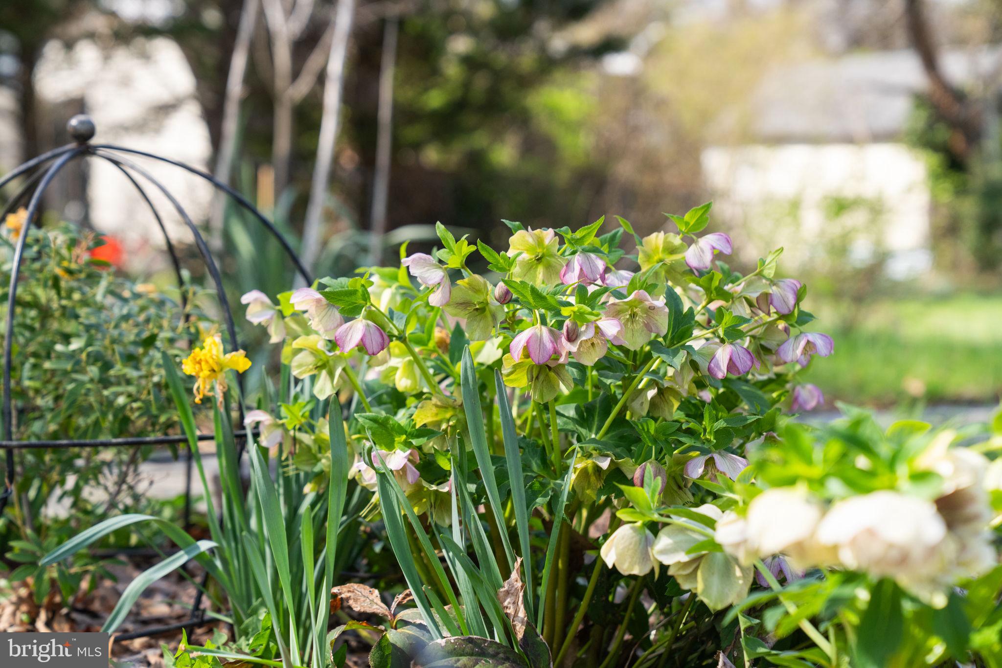 RIVERDALE PARK - Residential