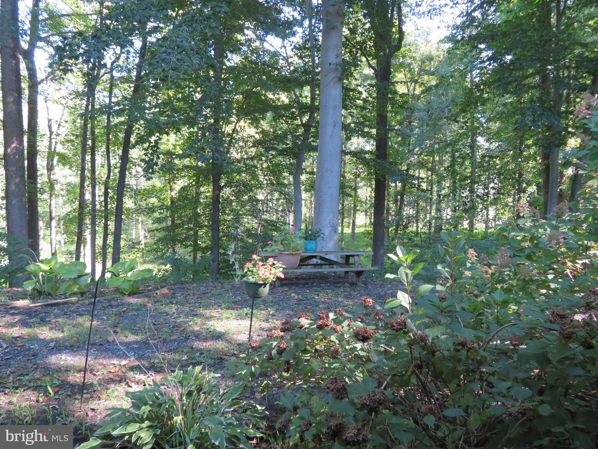 MARLBORO MANOR - Farm