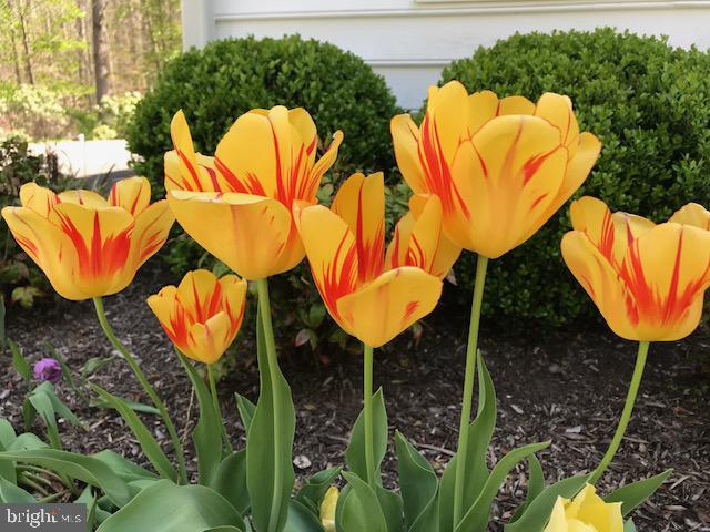 STONECREST - Residential