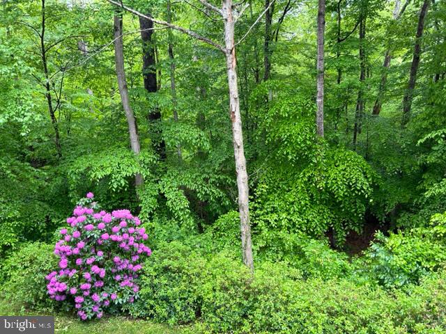 STONECREST - Residential