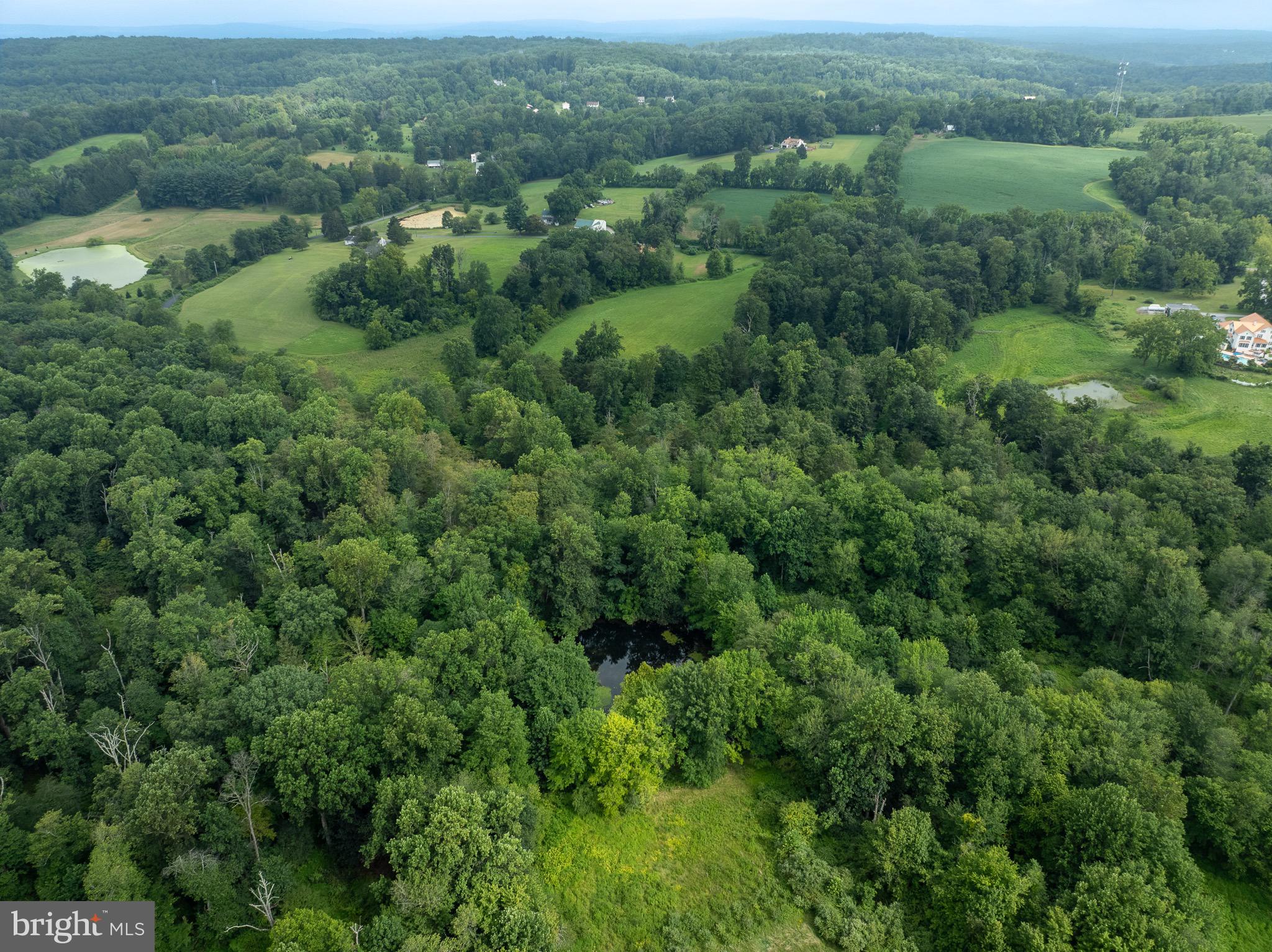 1245 FAIRVIEW ROAD