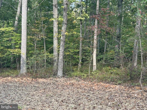 Vacant Land For Sale - PARCEL 18 Camden Lane<br/> ELKWOOD, VA 22718