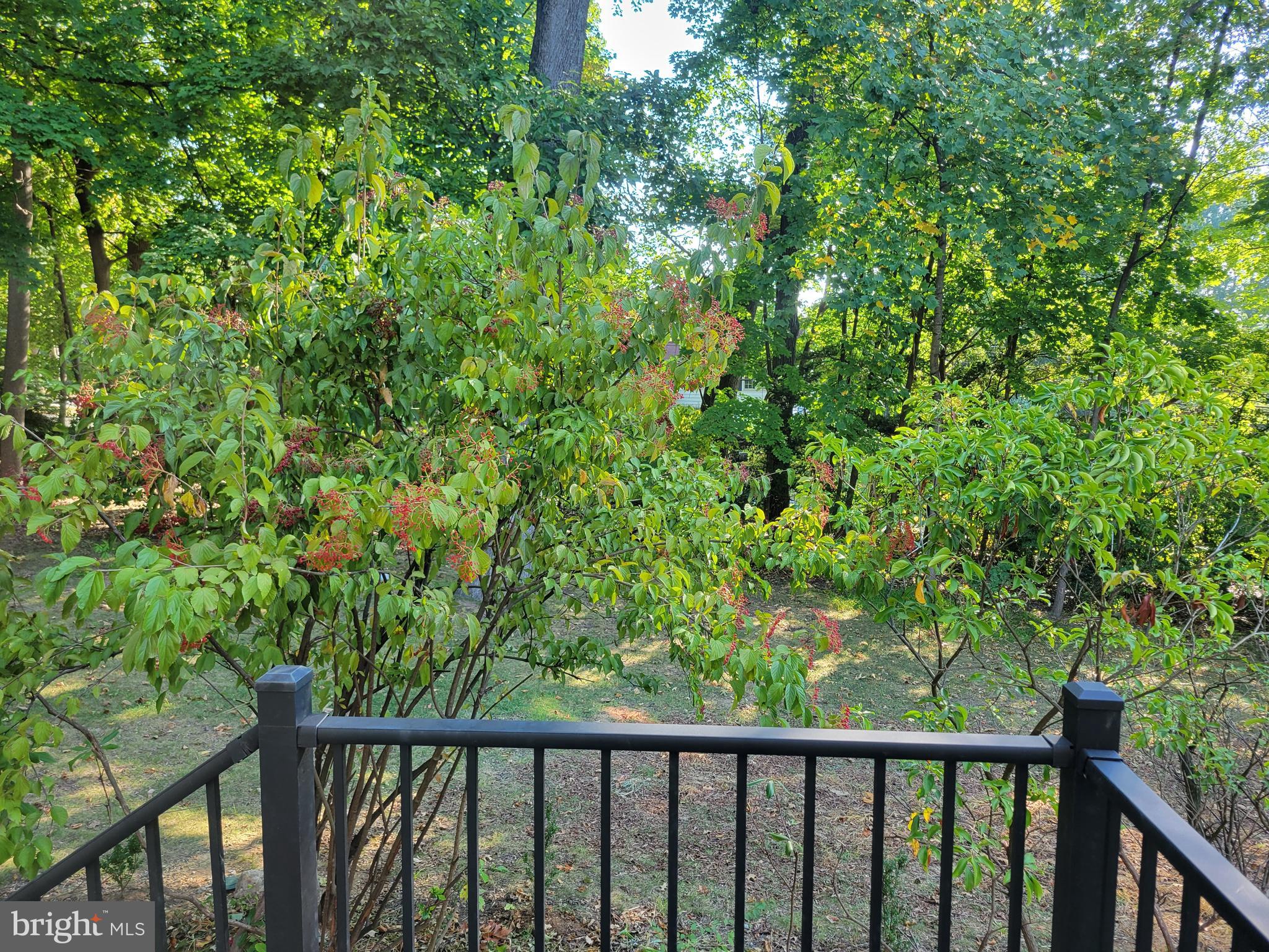 PAOLI GARDENS - Residential