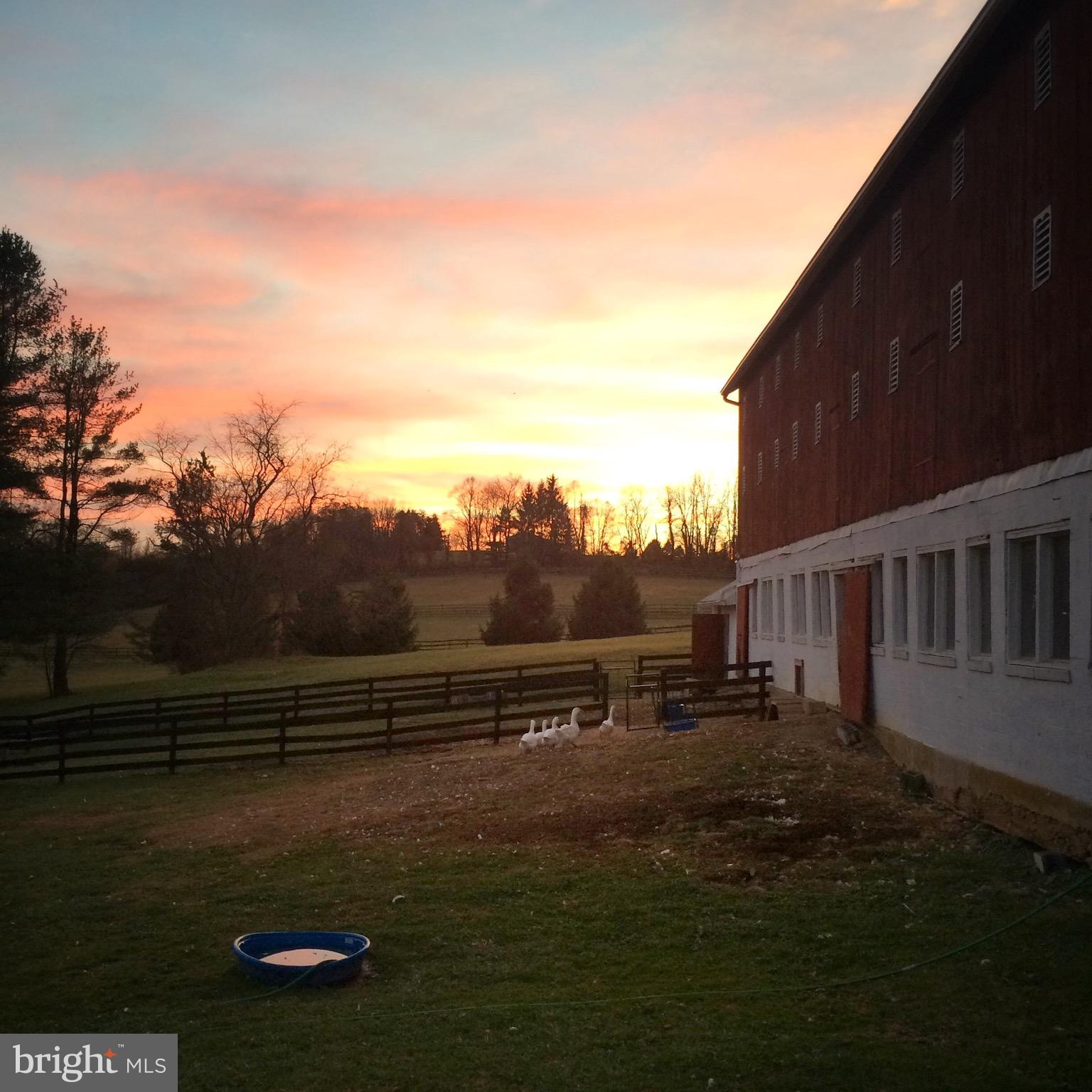 FREELAND - Residential