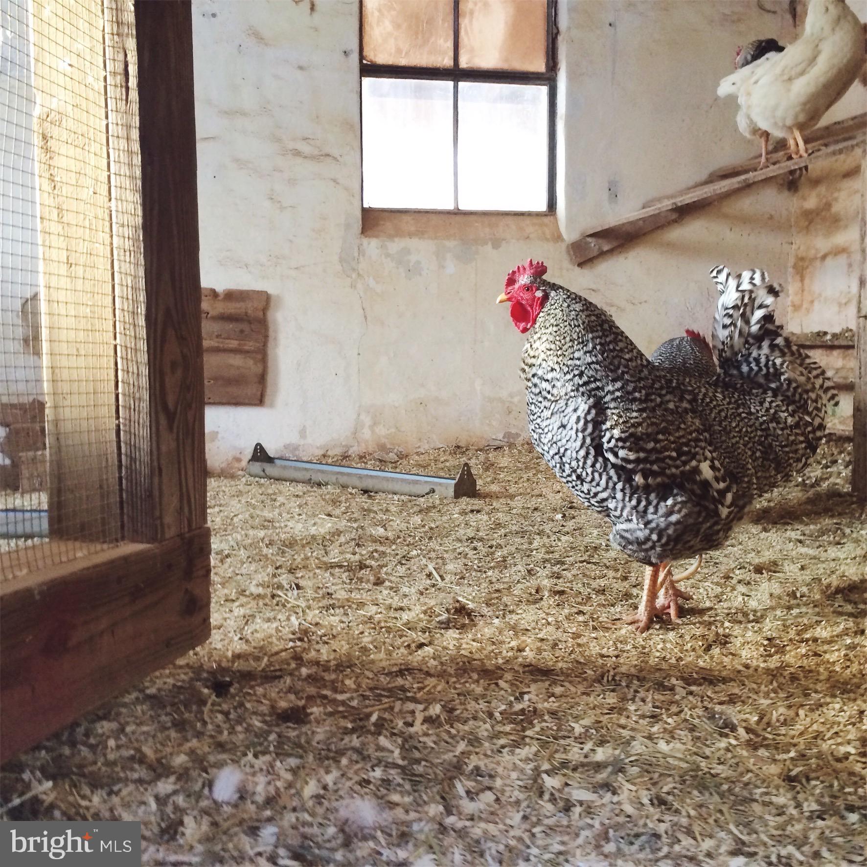 FREELAND - Residential