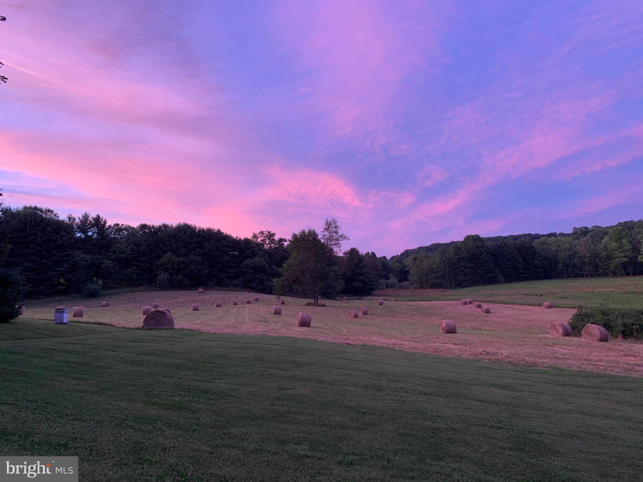 FREELAND - Residential