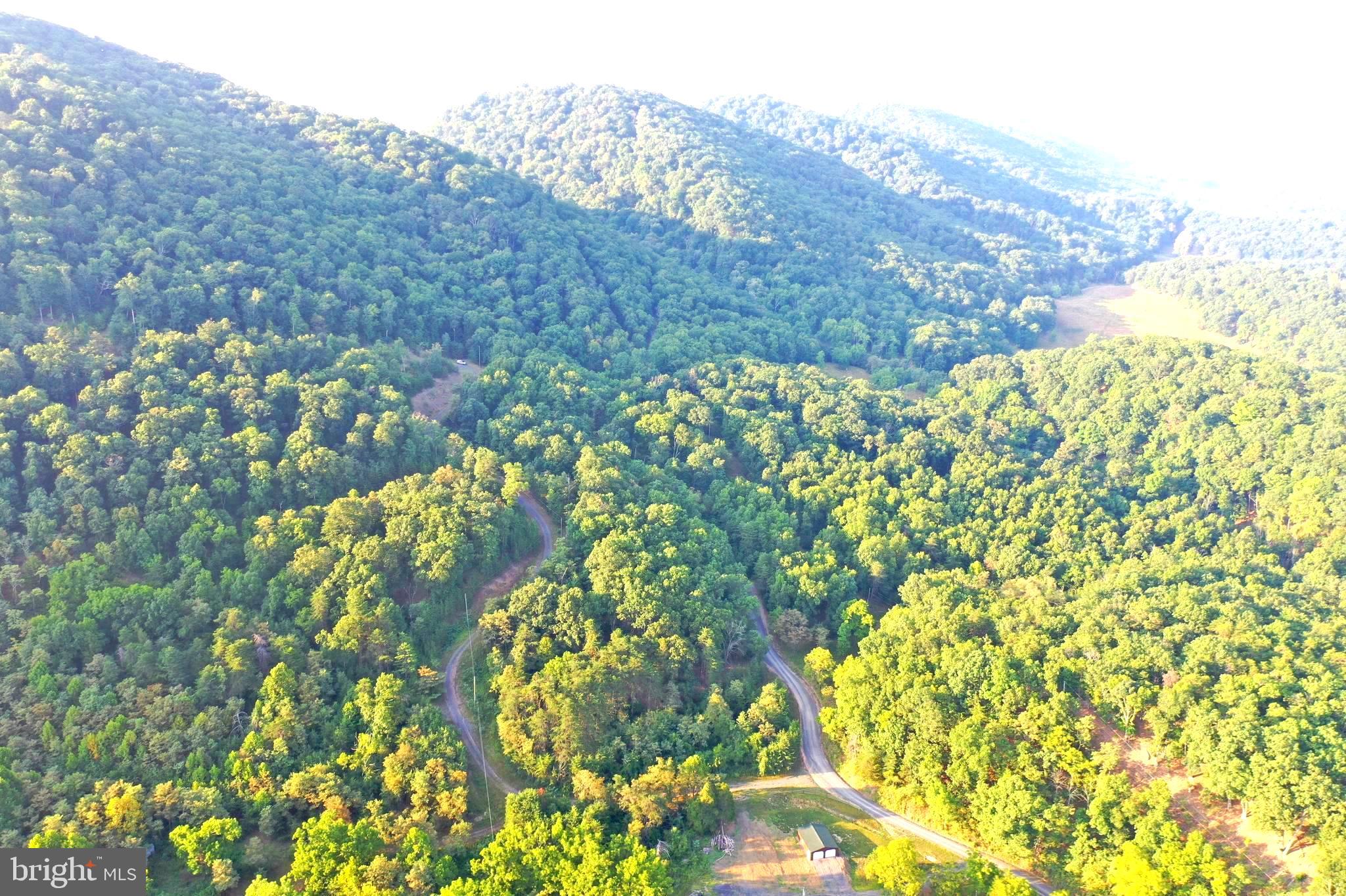 Call today to see this amazing lot nestled in the beautiful hills of West Virginia. If you have been searching for a beautiful piece of land to build your dream home or weekend retreat, then here it is! The 6.385 acre property is rich with tall, mature trees and the wildlife is plentiful. You get the perfect compromise of country living and privacy with convenience. You are only about 2 miles from Rt 50 and a short drive to the South Branch of the Potomac River and Mill Creek, which is stocked with trout in the spring.