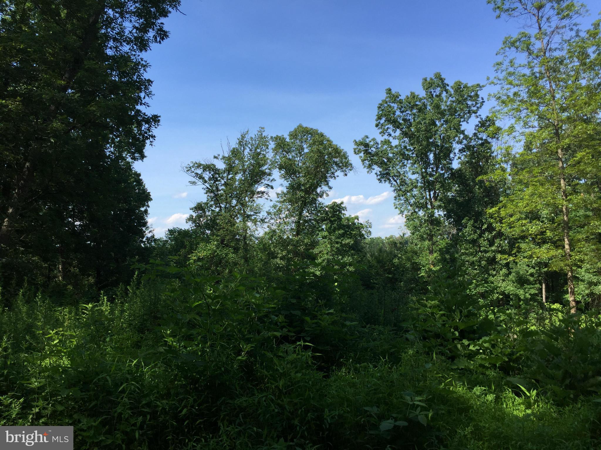 NONE AVAILABLE - Land