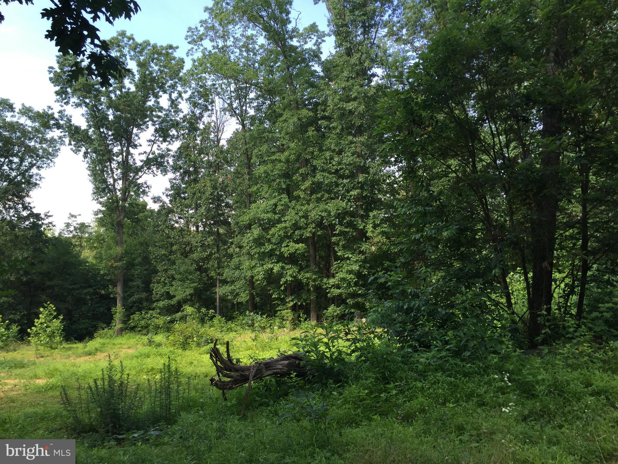 NONE AVAILABLE - Land