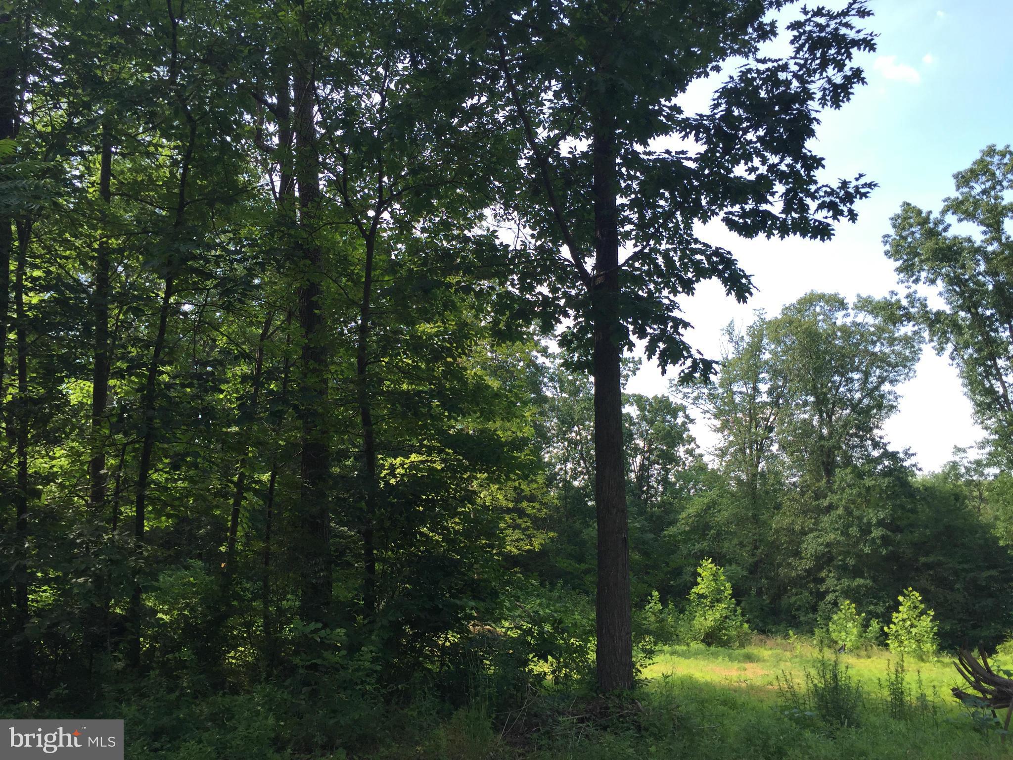 NONE AVAILABLE - Land