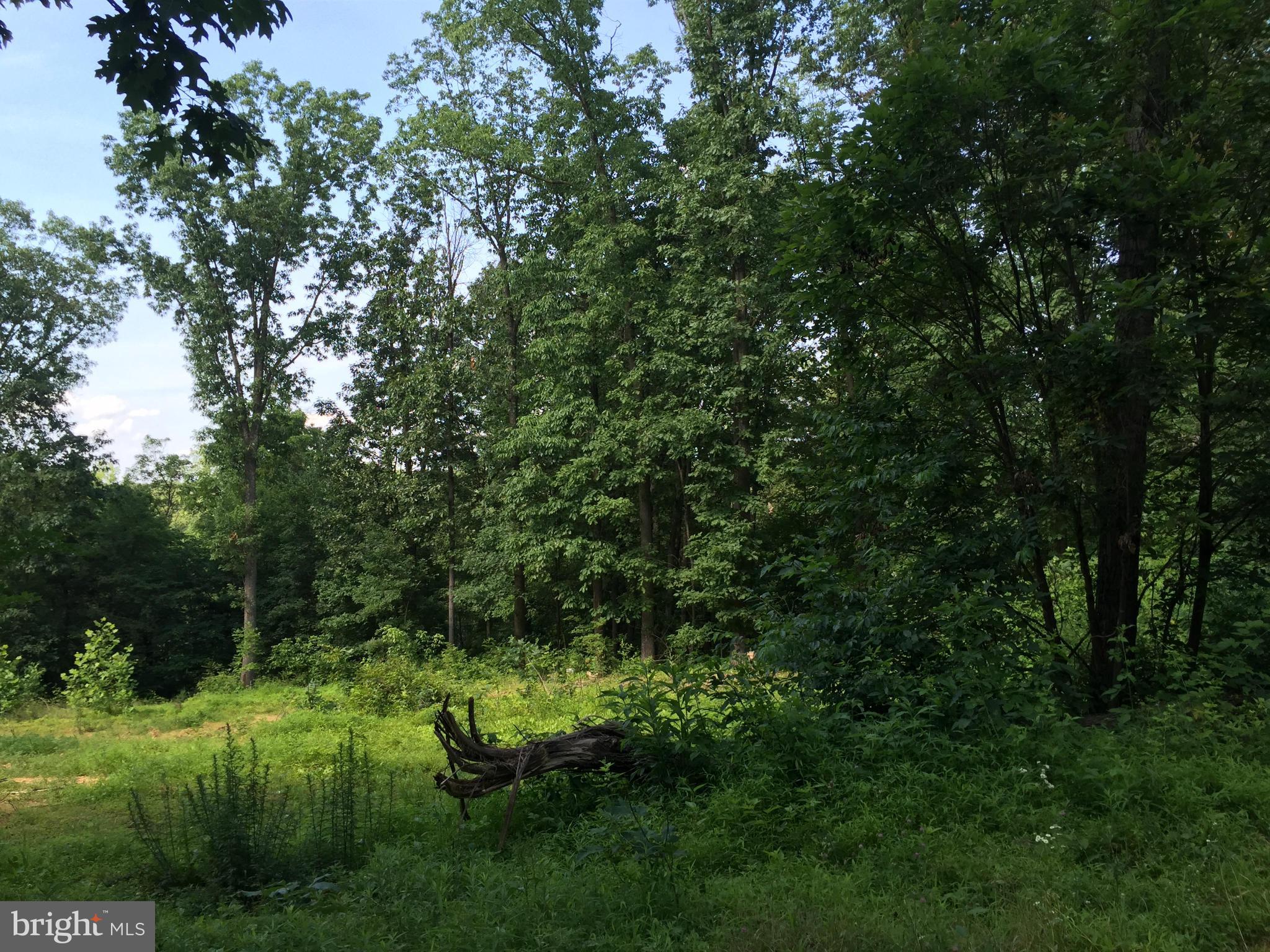 NONE AVAILABLE - Land