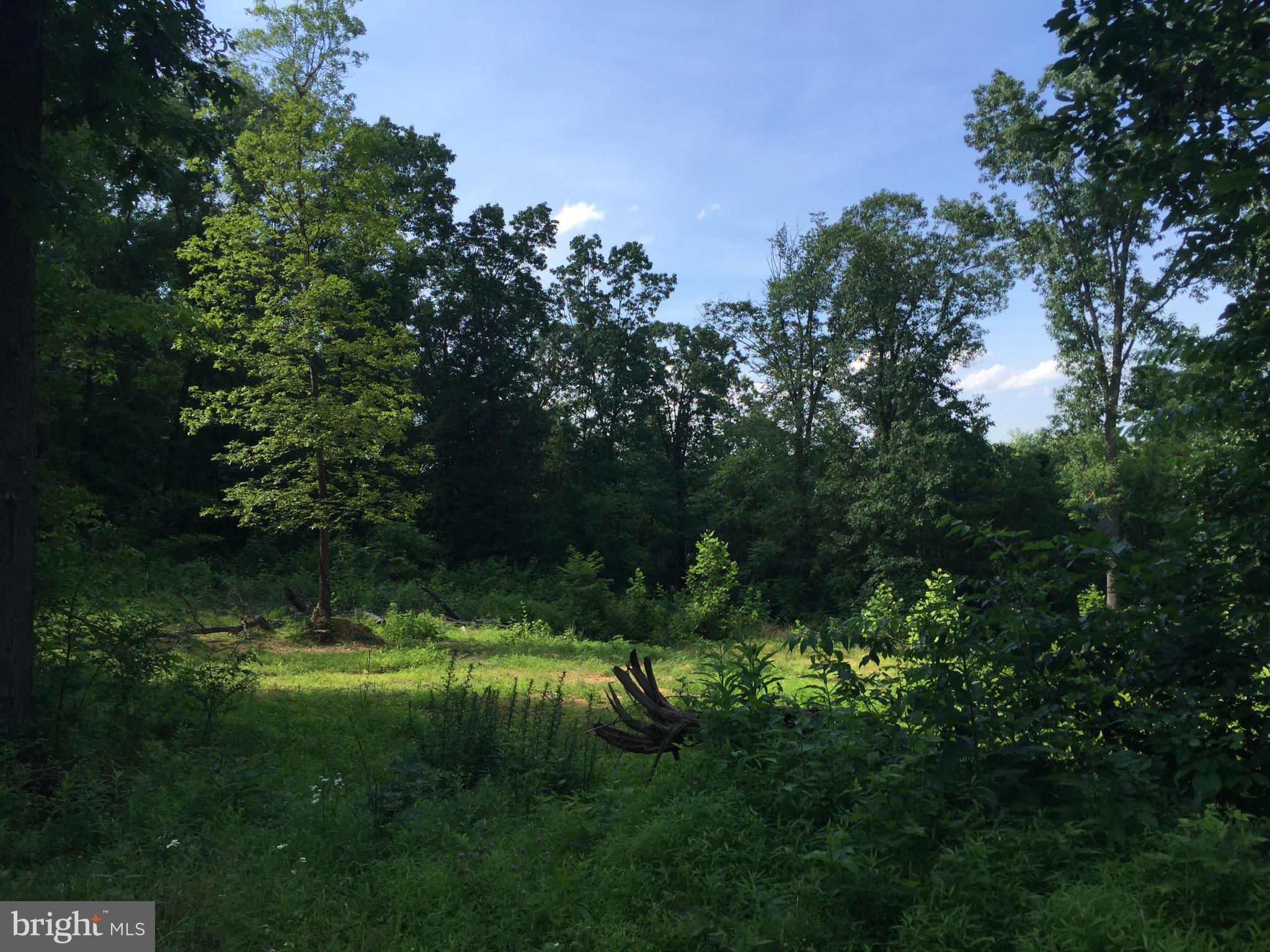 NONE AVAILABLE - Land