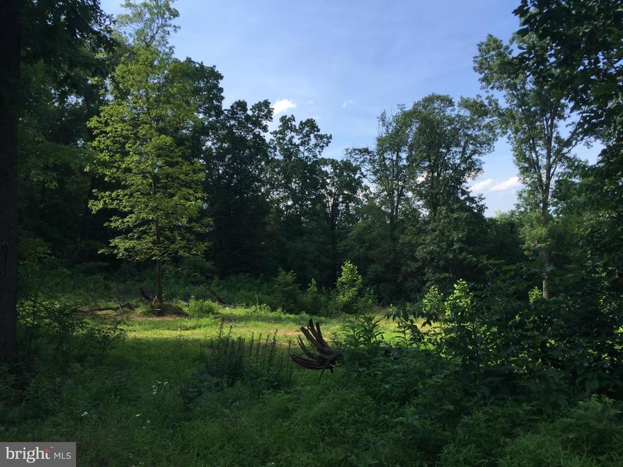 Peaceful & Private Wooded lot ready to build your dream home! 5 Acres in Brucetown backing up to farm land. Area has been cleared to build, electric ready to be hooked up to. Access by right of way off Brucetown Road. Only 2 homesites on gravel road. Minutes from I81/Winchester, Clearbrook Park/Pool  NO HOA!!