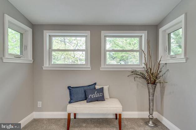 MT RAINIER - Residential Lease