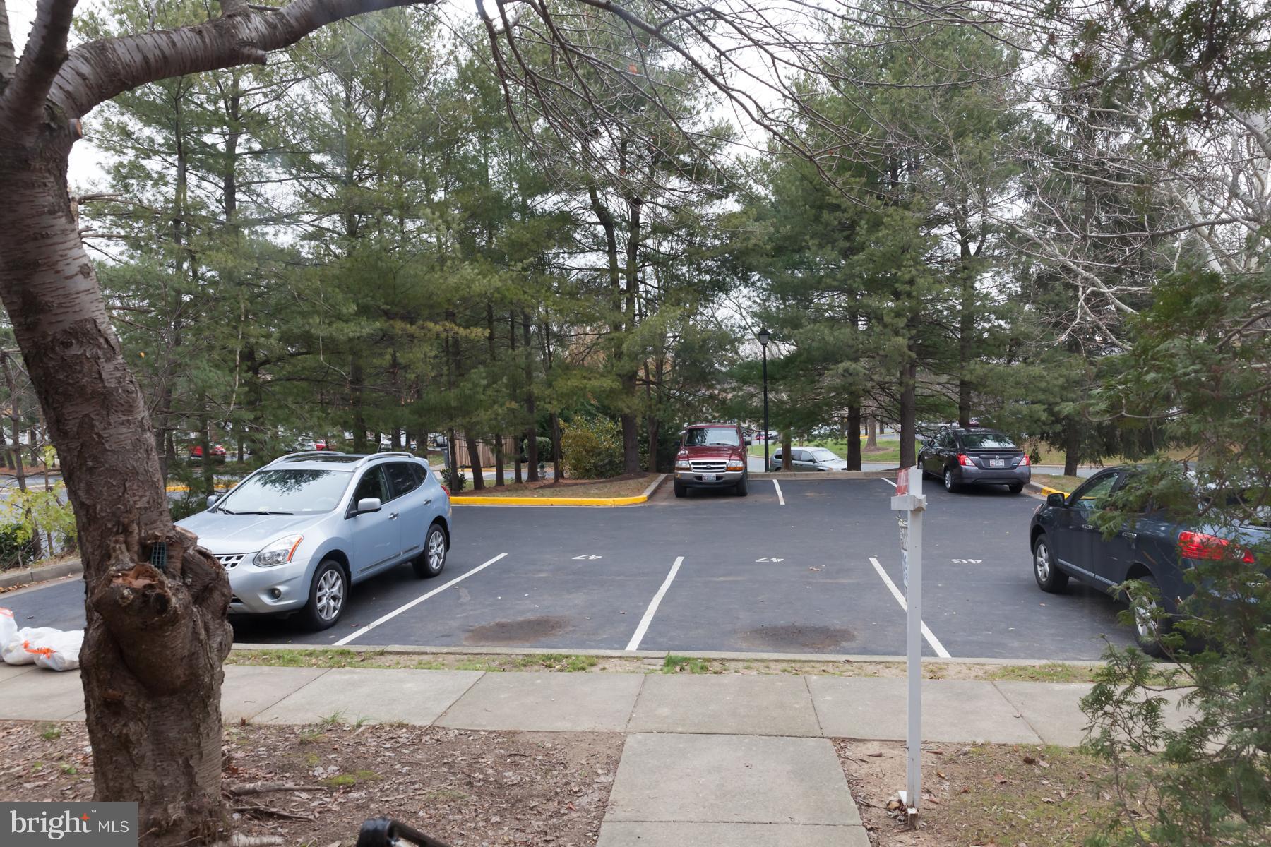 MONTGOMERY MEADOWS - Residential