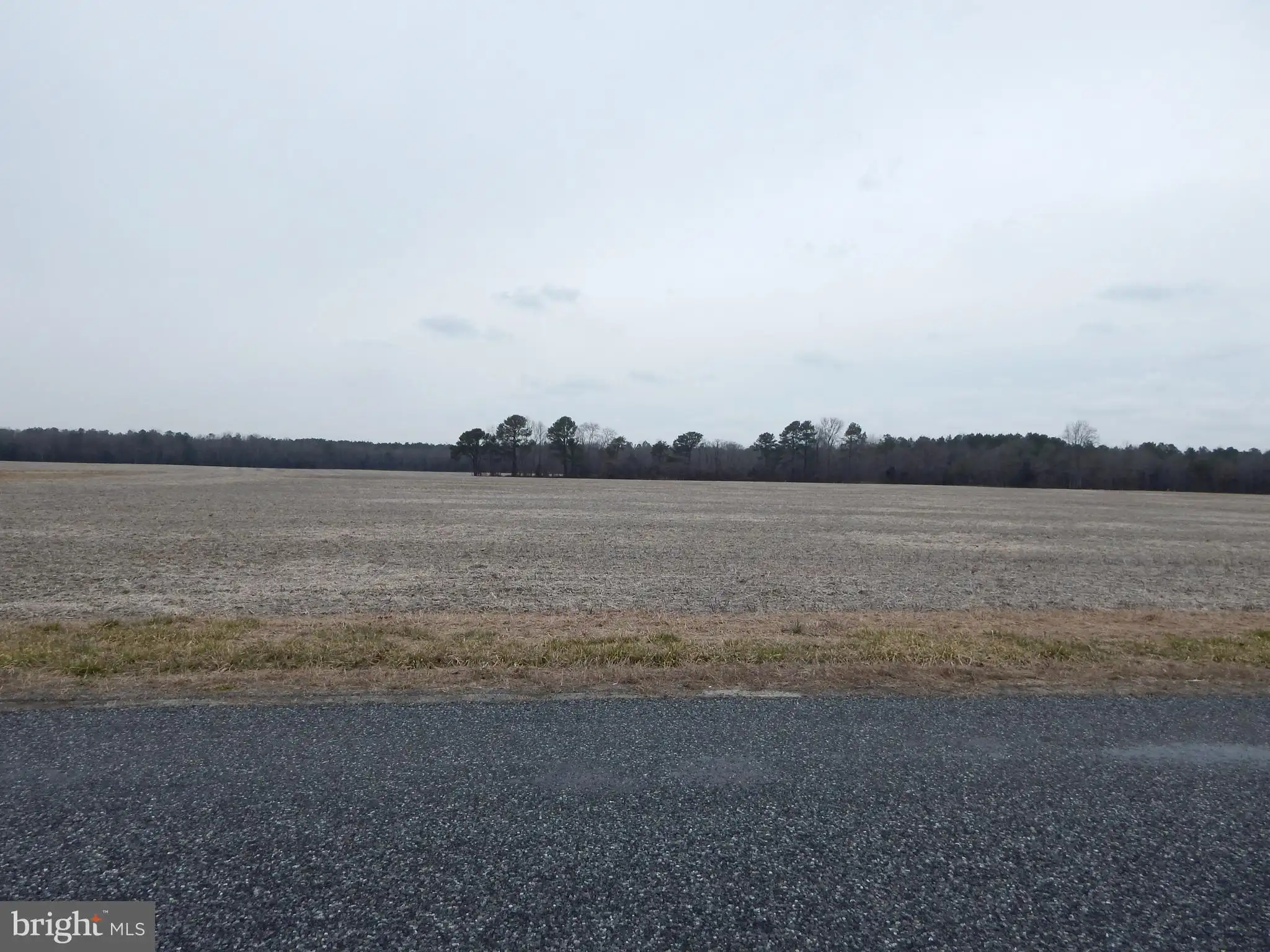 Wilson Hill Rd Lot 6, Georgetown, DE 19947