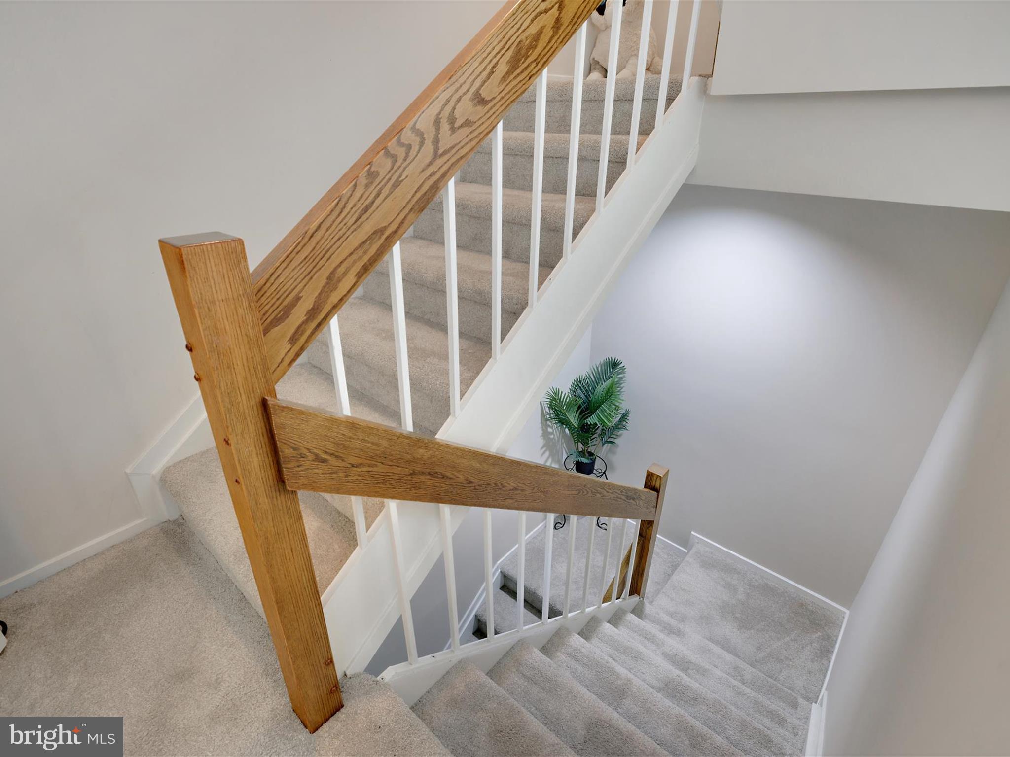 KINGS CONTRIVANCE - Residential