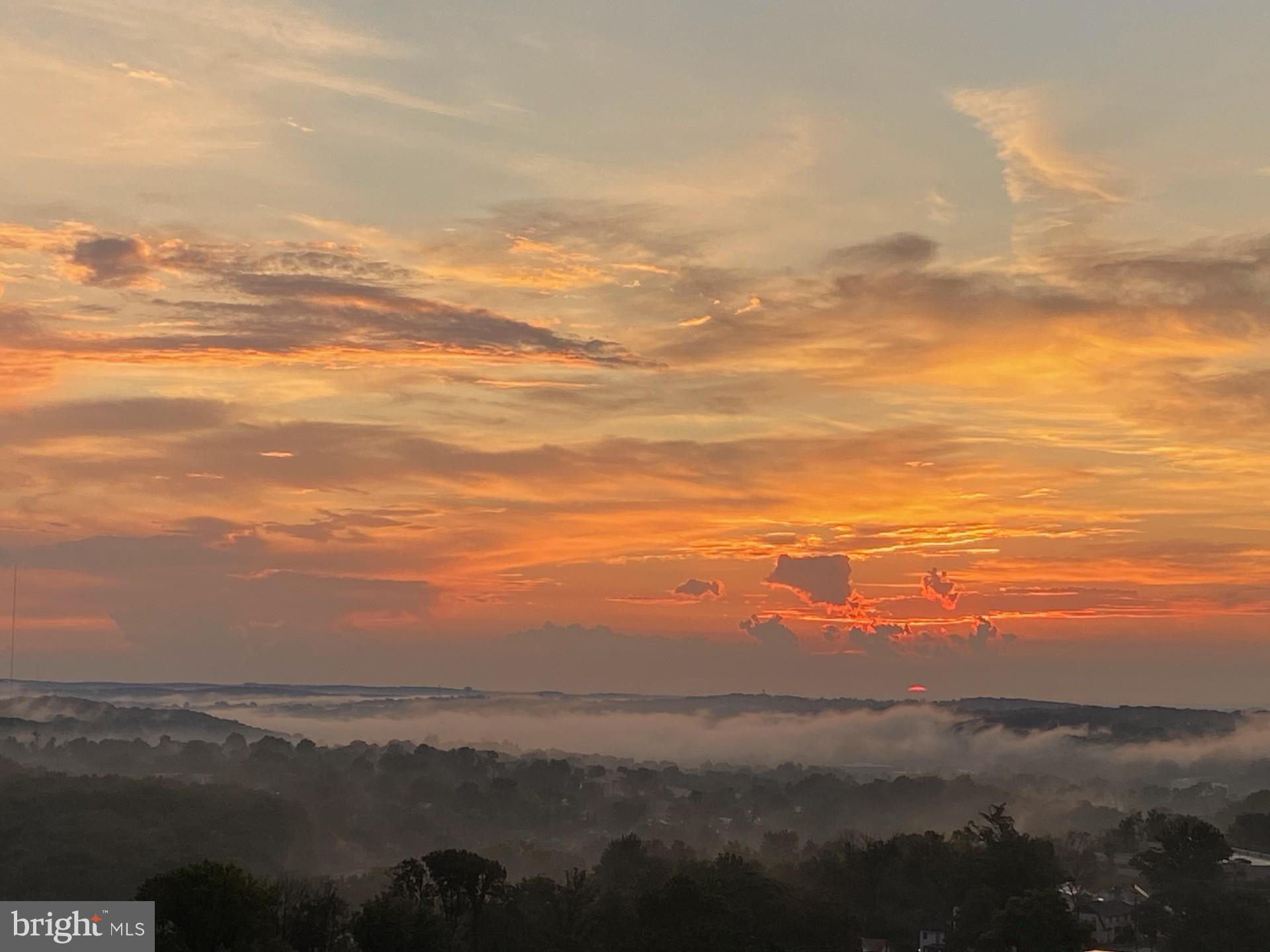 RIDGELY TOWSON CENTER - Residential