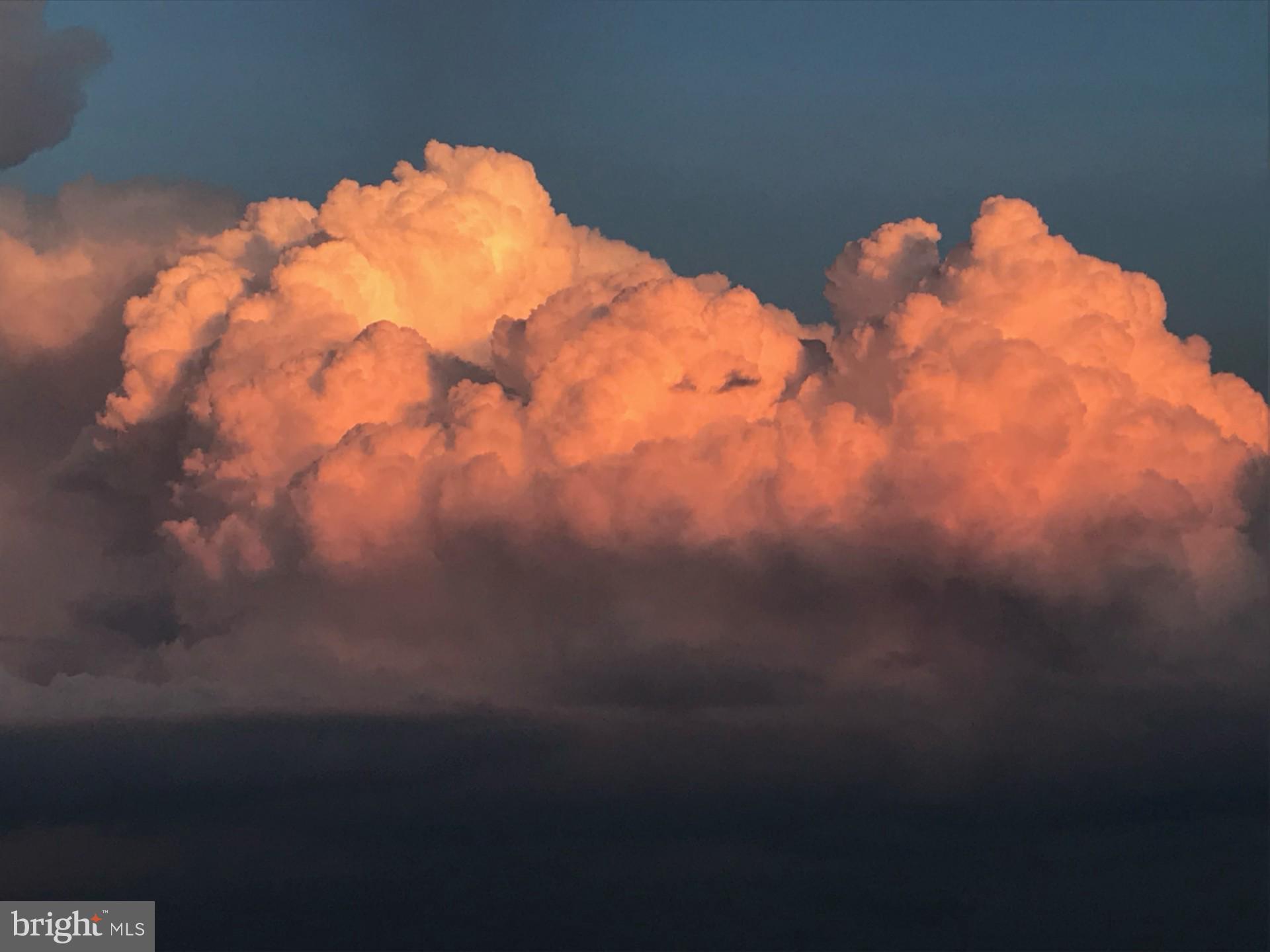 RIDGELY TOWSON CENTER - Residential